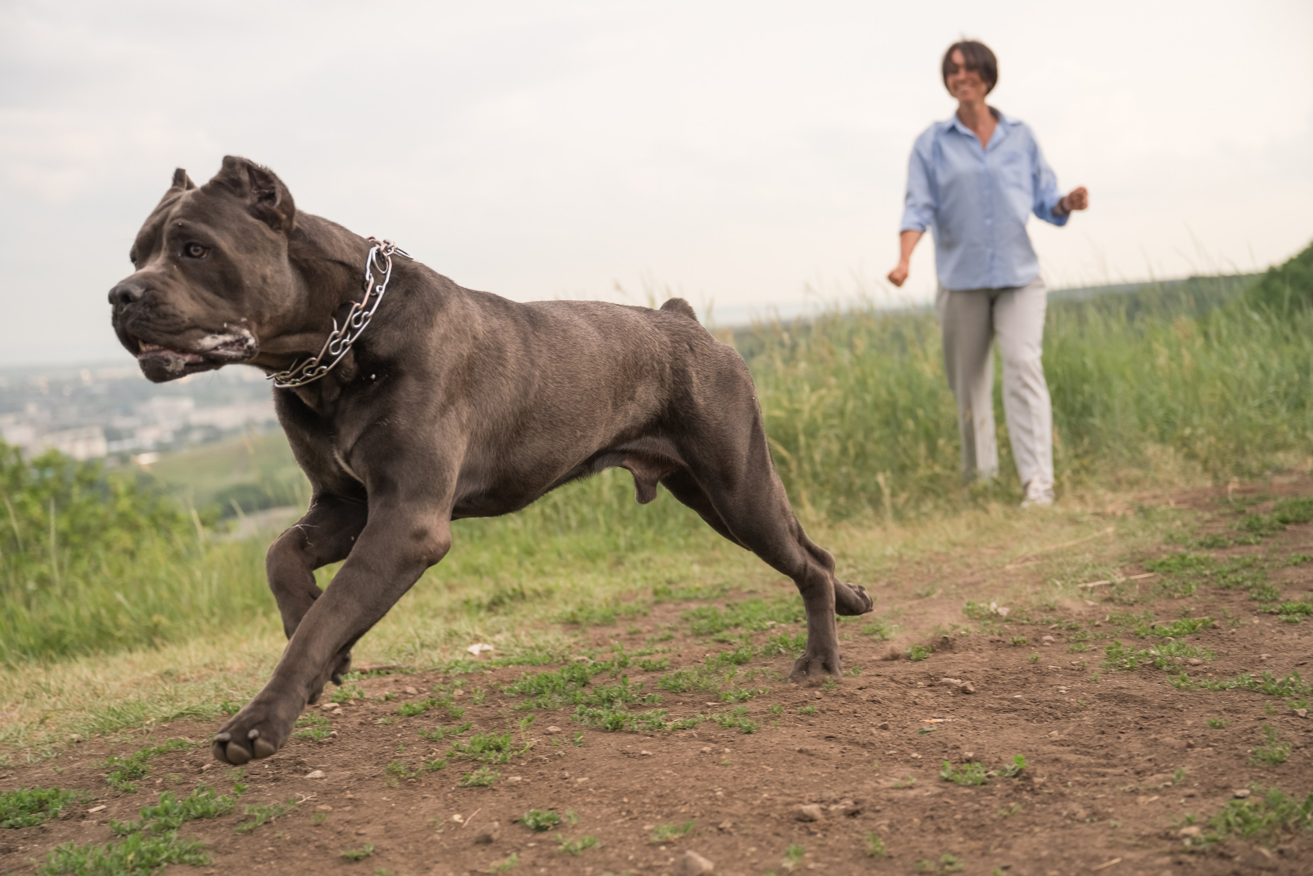 Дина, Яна и Лео. Фотограф Саратов Юлия Петрова