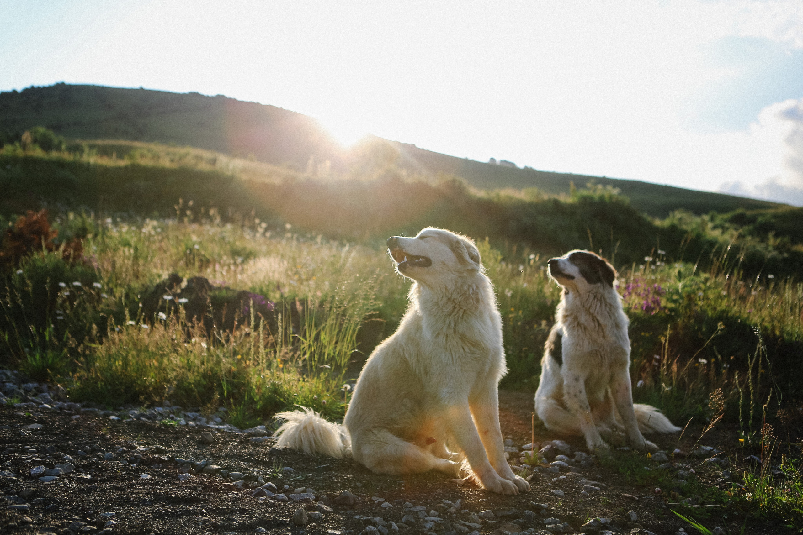 Пресс-тур для Неизвестного Кавказа. Свадебный и портретный фотограф в Пятигорске, КМВ — Власова Юля