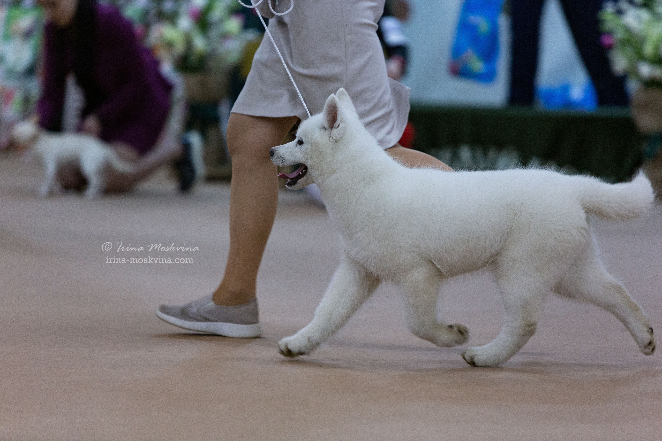 Белгород | САС | 02.04.22. Ирина Москвина | фотограф | Москва