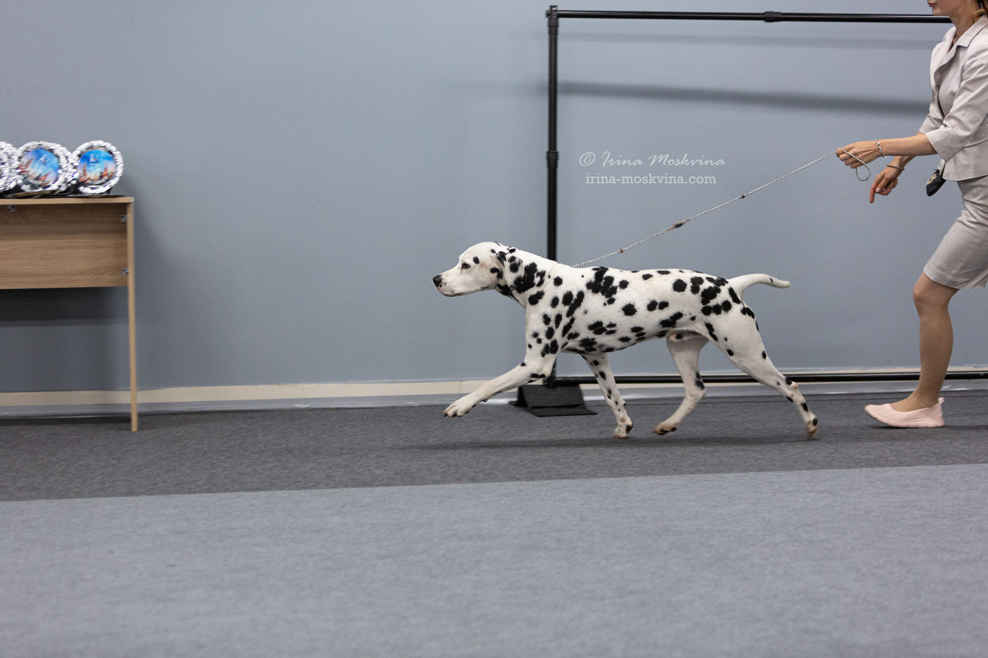 Москва, ВЦ «Сфера» | САС | 22.07.23. Ирина Москвина | фотограф | Москва