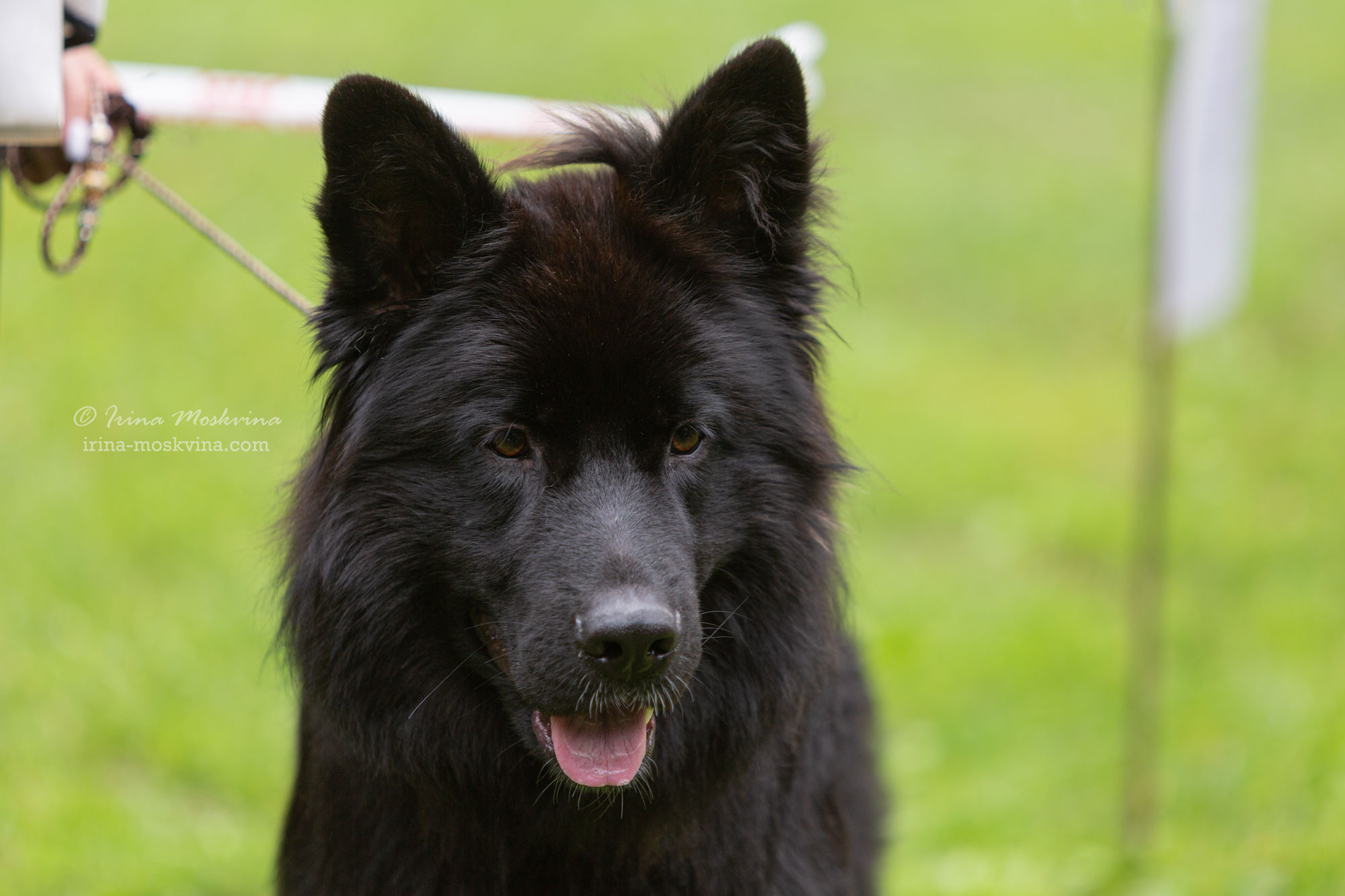 Москва, Сокольники | САС | 15.07.23. Ирина Москвина | фотограф | Москва