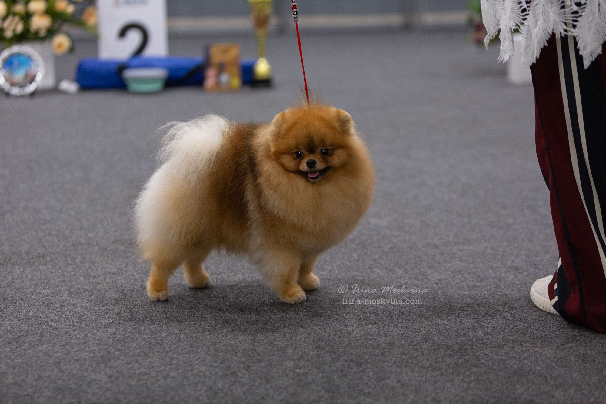 Москва, ВЦ «Сфера» | САС | 22.07.23. Ирина Москвина | фотограф | Москва