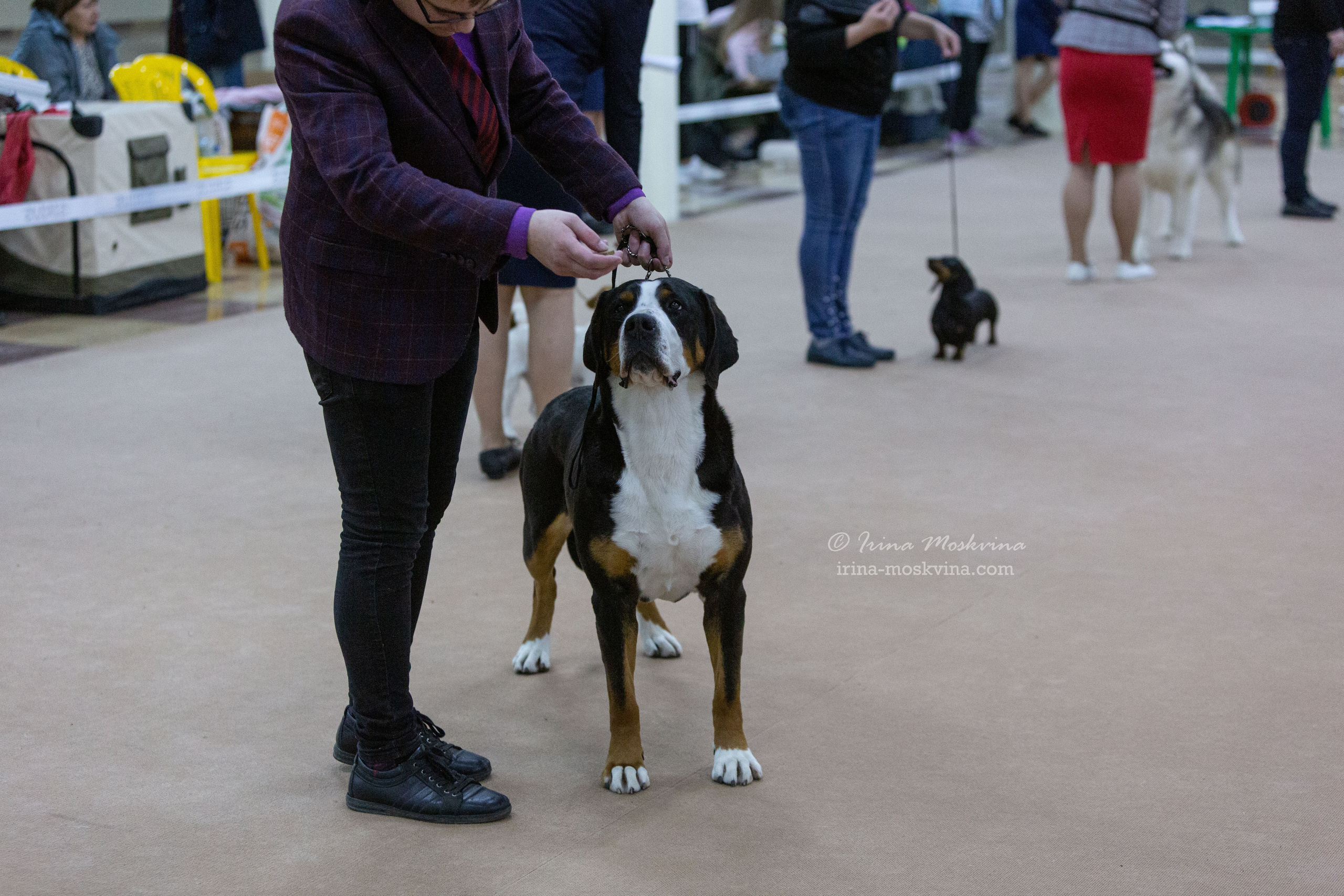 Белгород | САС | 02.04.22. Ирина Москвина | фотограф | Москва