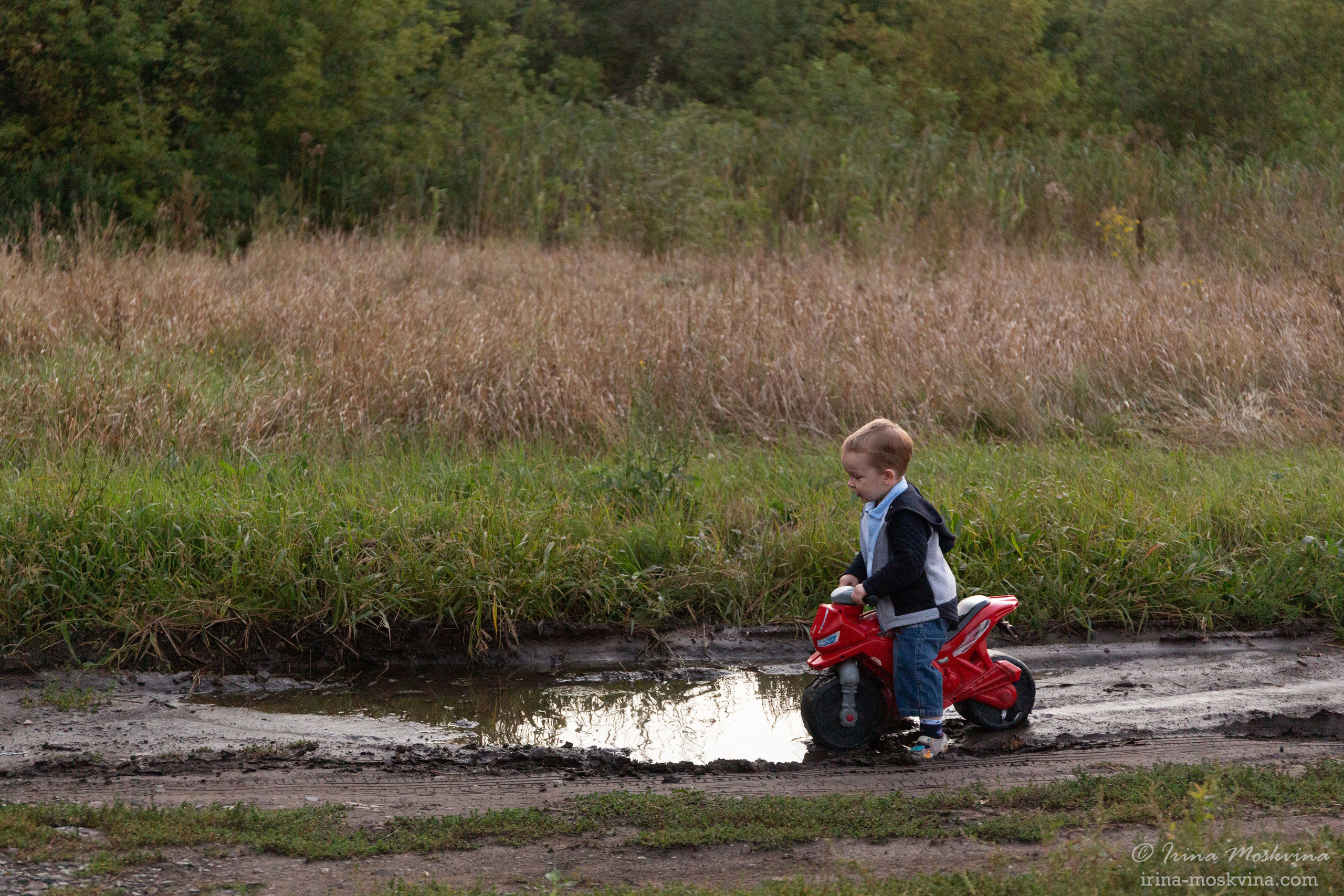 Егорка | август 2021. Ирина Москвина | фотограф | Москва