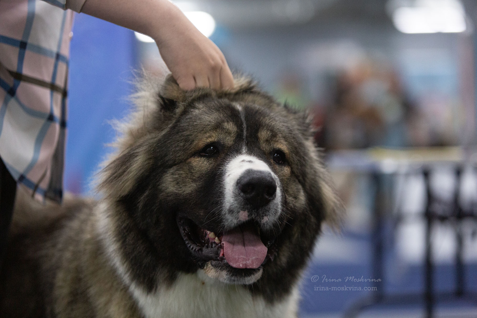 Москва, ВЦ «Сфера» | САС | 29.07.23. Ирина Москвина | фотограф | Москва