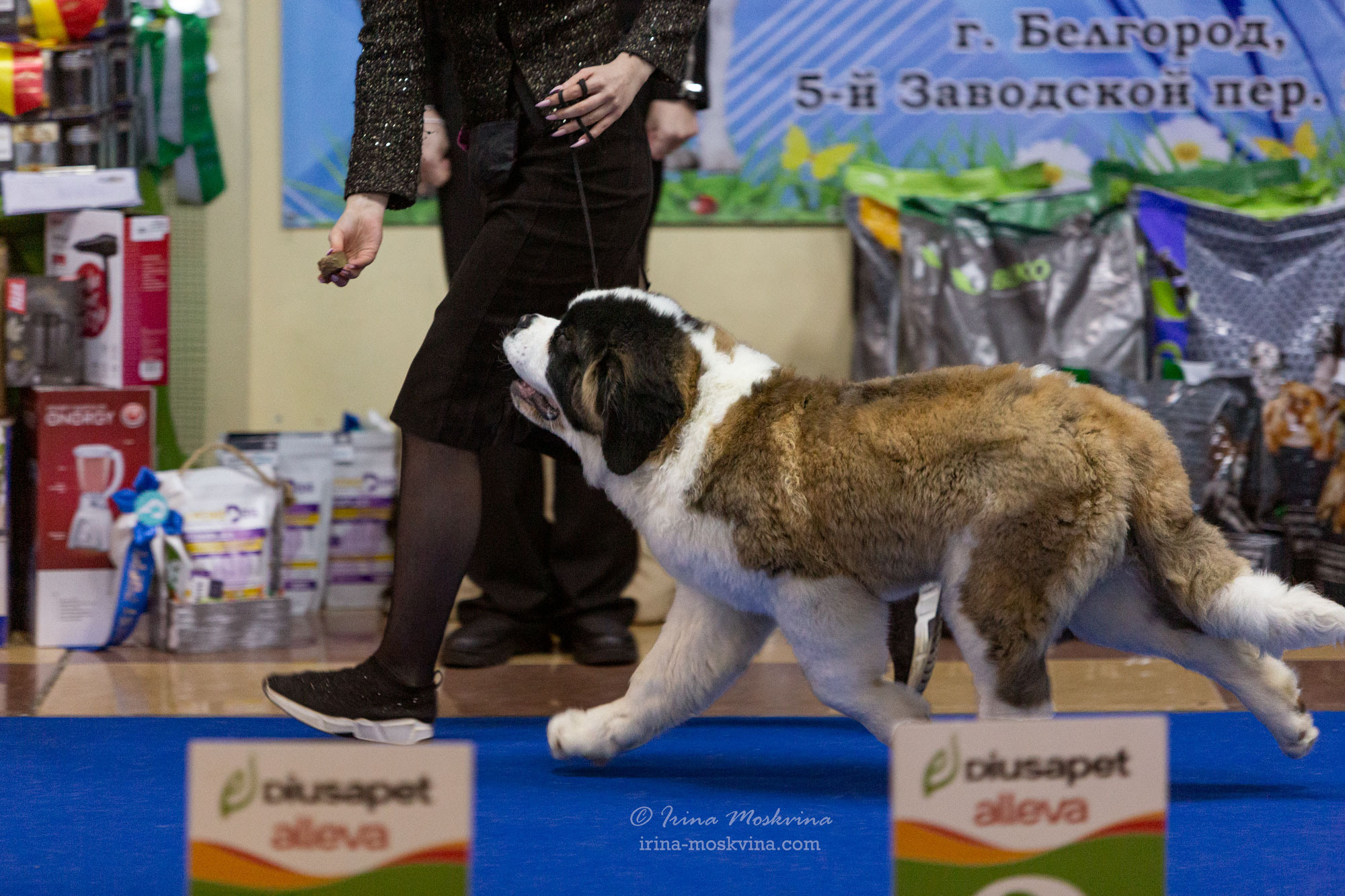 Белгород | САС | 29.01.22. Ирина Москвина | фотограф | Москва