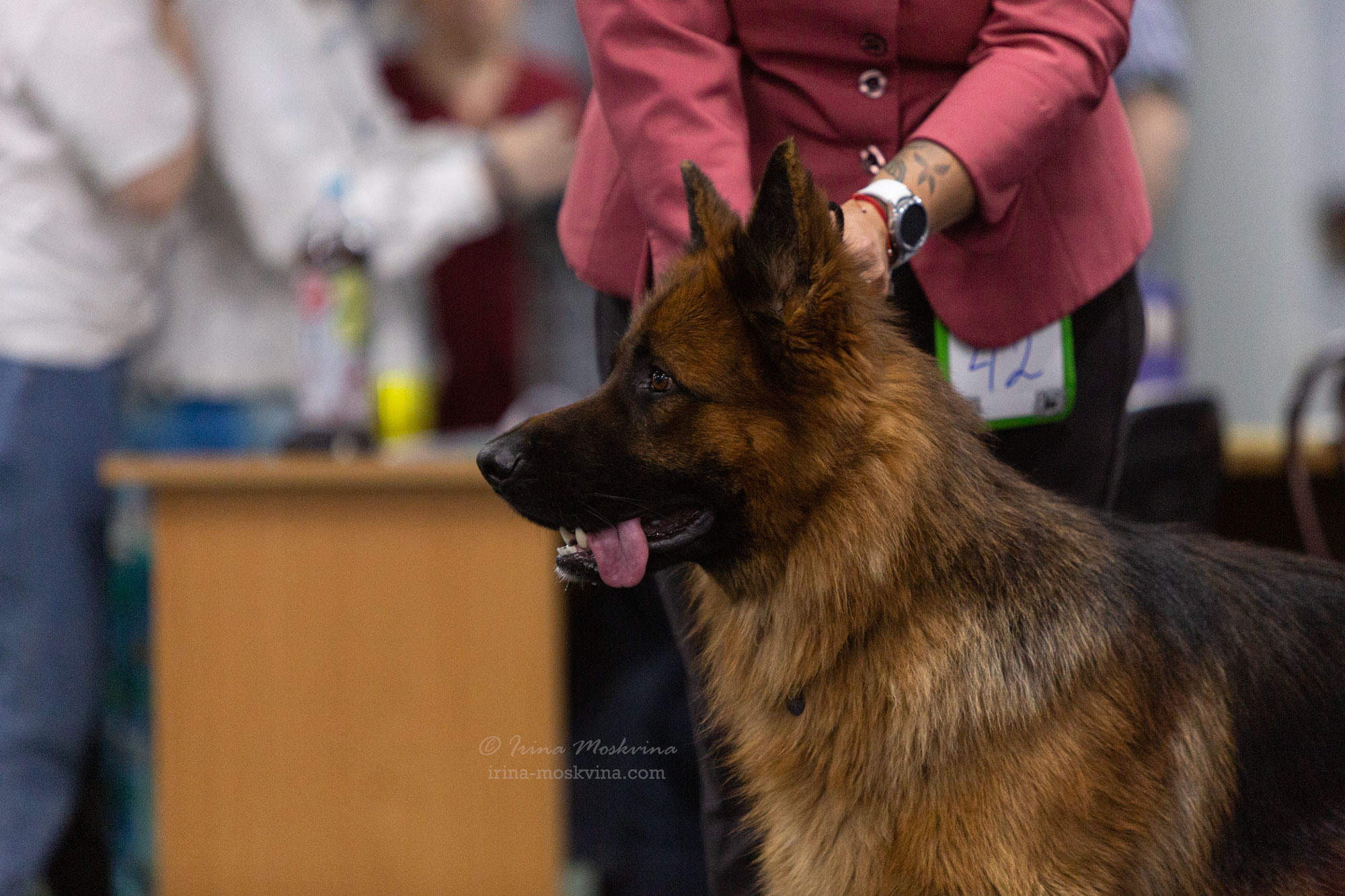 Москва, ВЦ «Сфера» | САС | 29.07.23. Ирина Москвина | фотограф | Москва