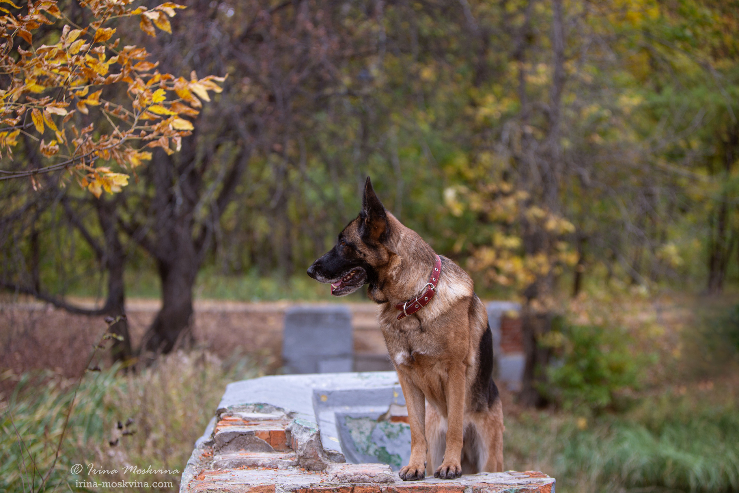 Valdzage Ritsa. Ирина Москвина | фотограф | Москва