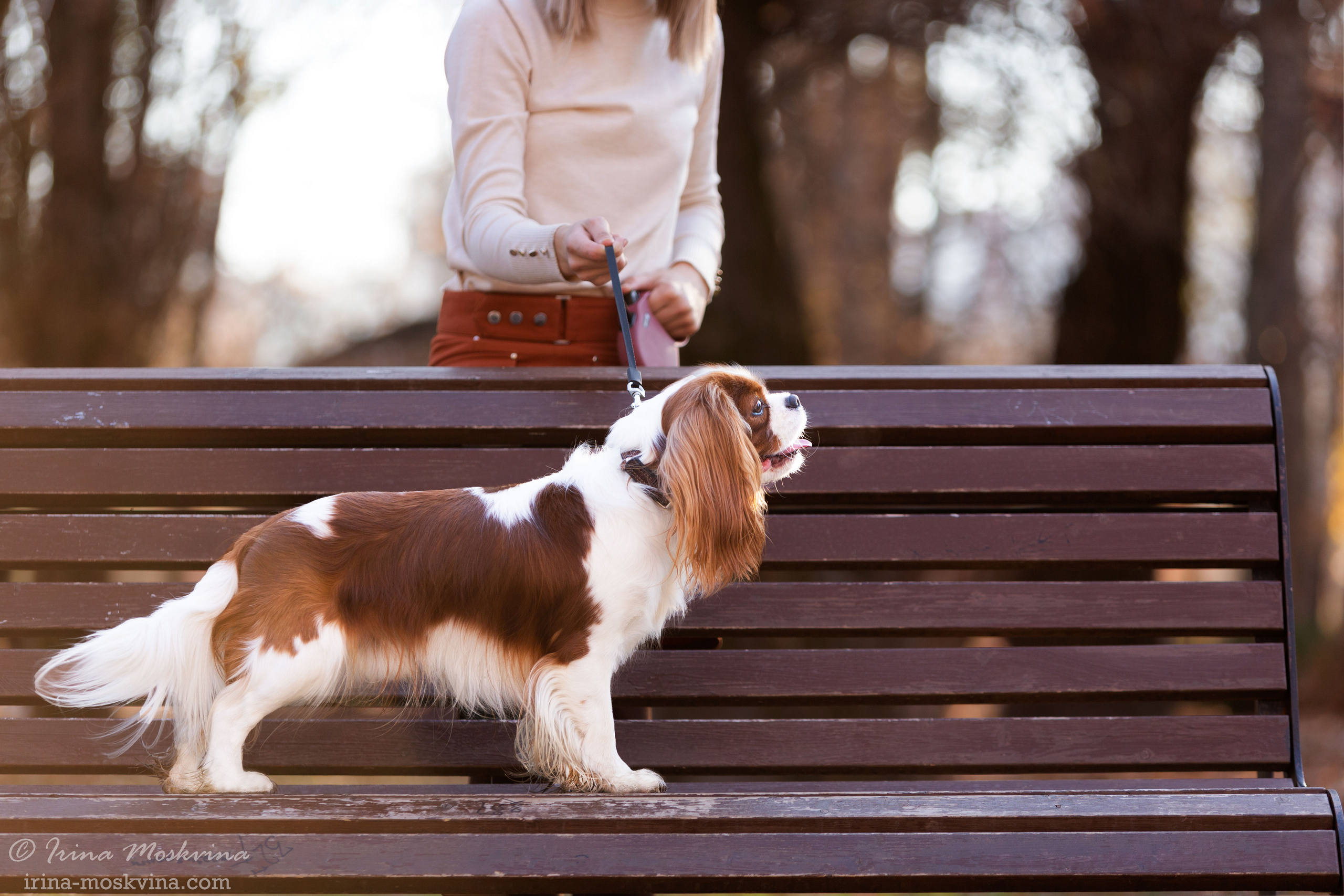 Прогулка с кавалером Да Винчи | Белгород | октябрь 2021. Ирина Москвина | фотограф | Москва