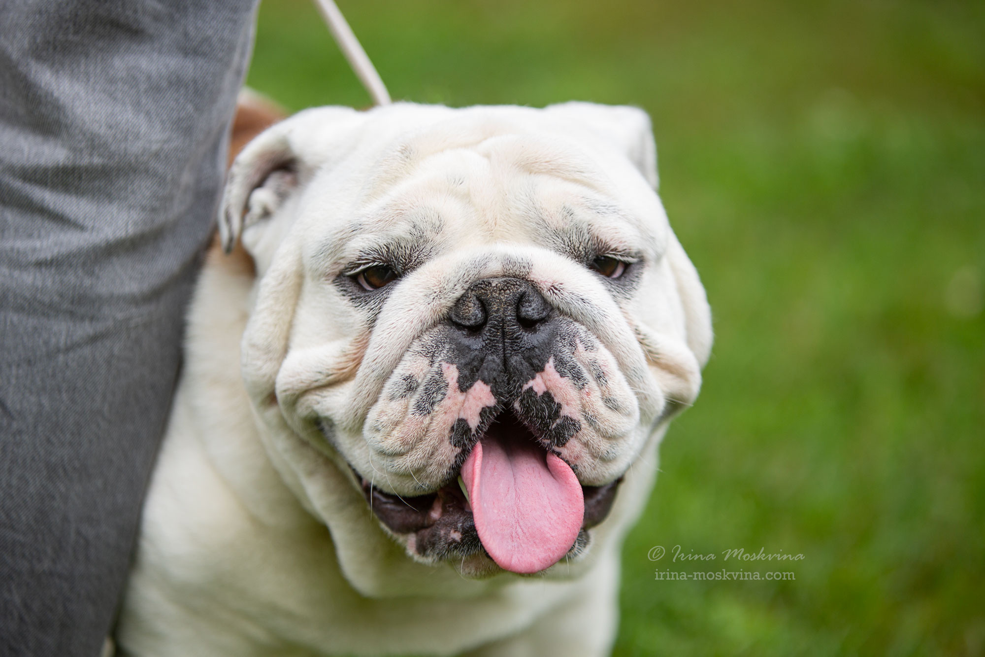 Москва, Сокольники | САС | 15.07.23. Ирина Москвина | фотограф | Москва