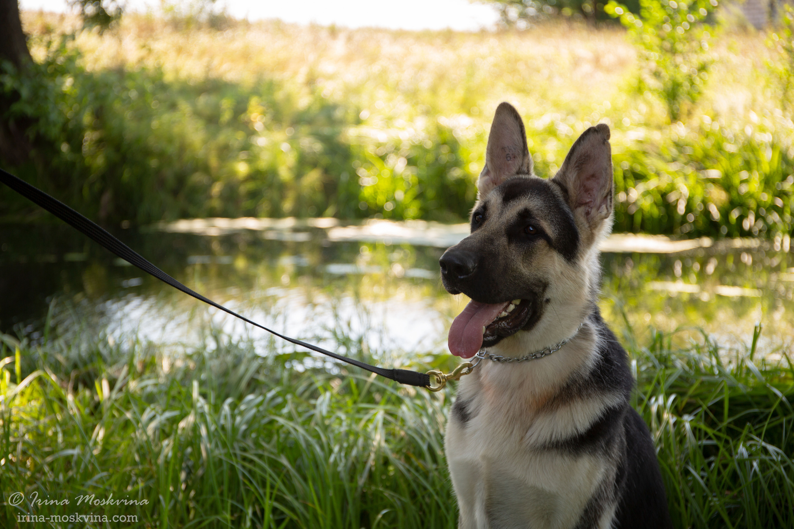 Липецк | САС | 31.07.21. Ирина Москвина | фотограф | Москва