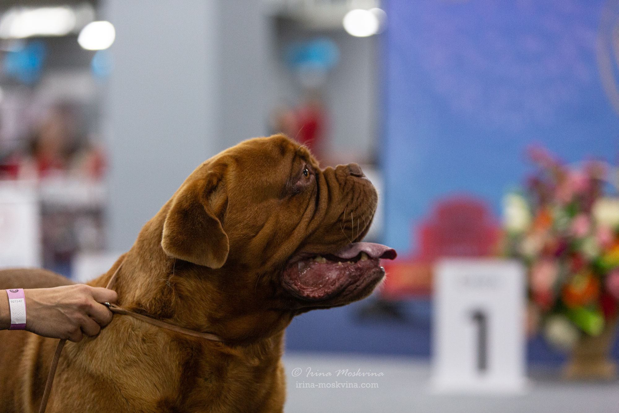 Москва, ВЦ «Сфера» | САС | 29.07.23. Ирина Москвина | фотограф | Москва