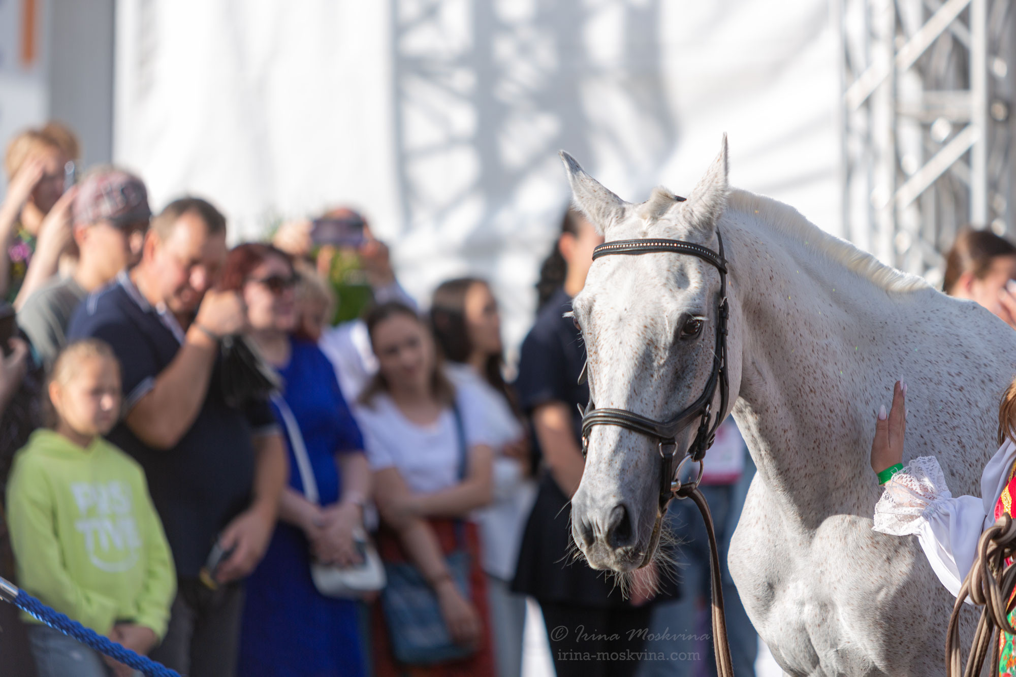 Терская порода