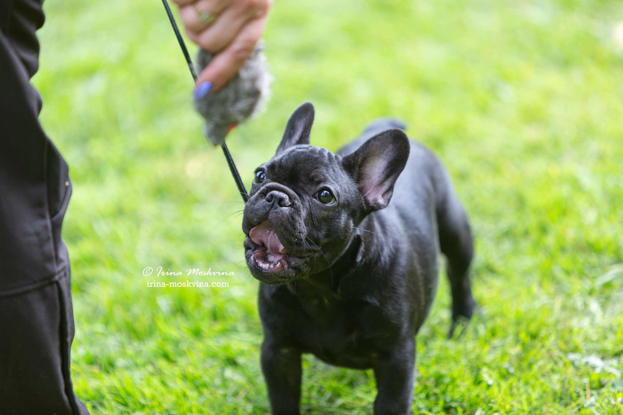 Москва, Сокольники | САС | 15.07.23. Ирина Москвина | фотограф | Москва