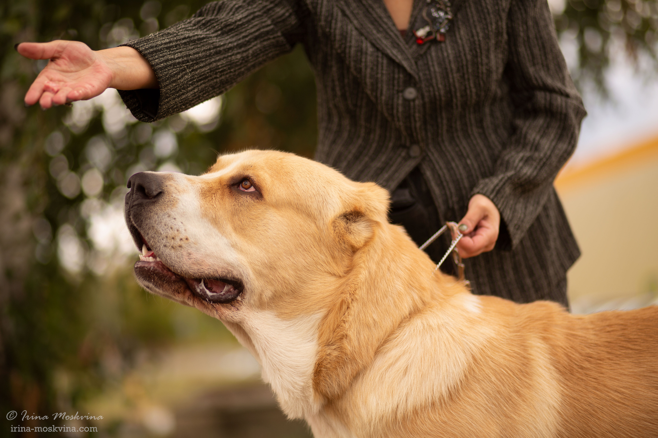 Старый Оскол | САС | 05.09.21. Ирина Москвина | фотограф | Москва