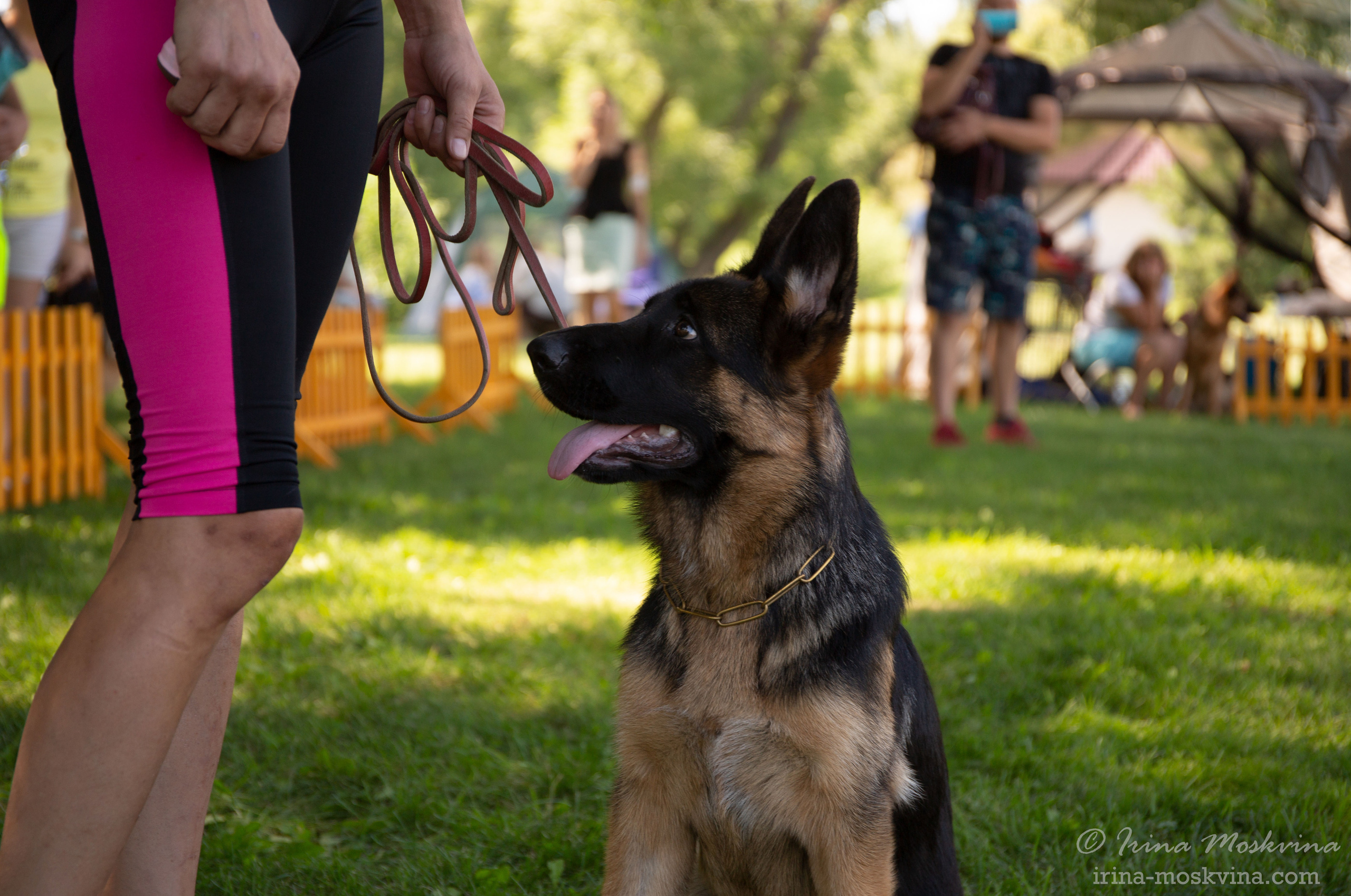 Липецк | САС | 31.07.21. Ирина Москвина | фотограф | Москва