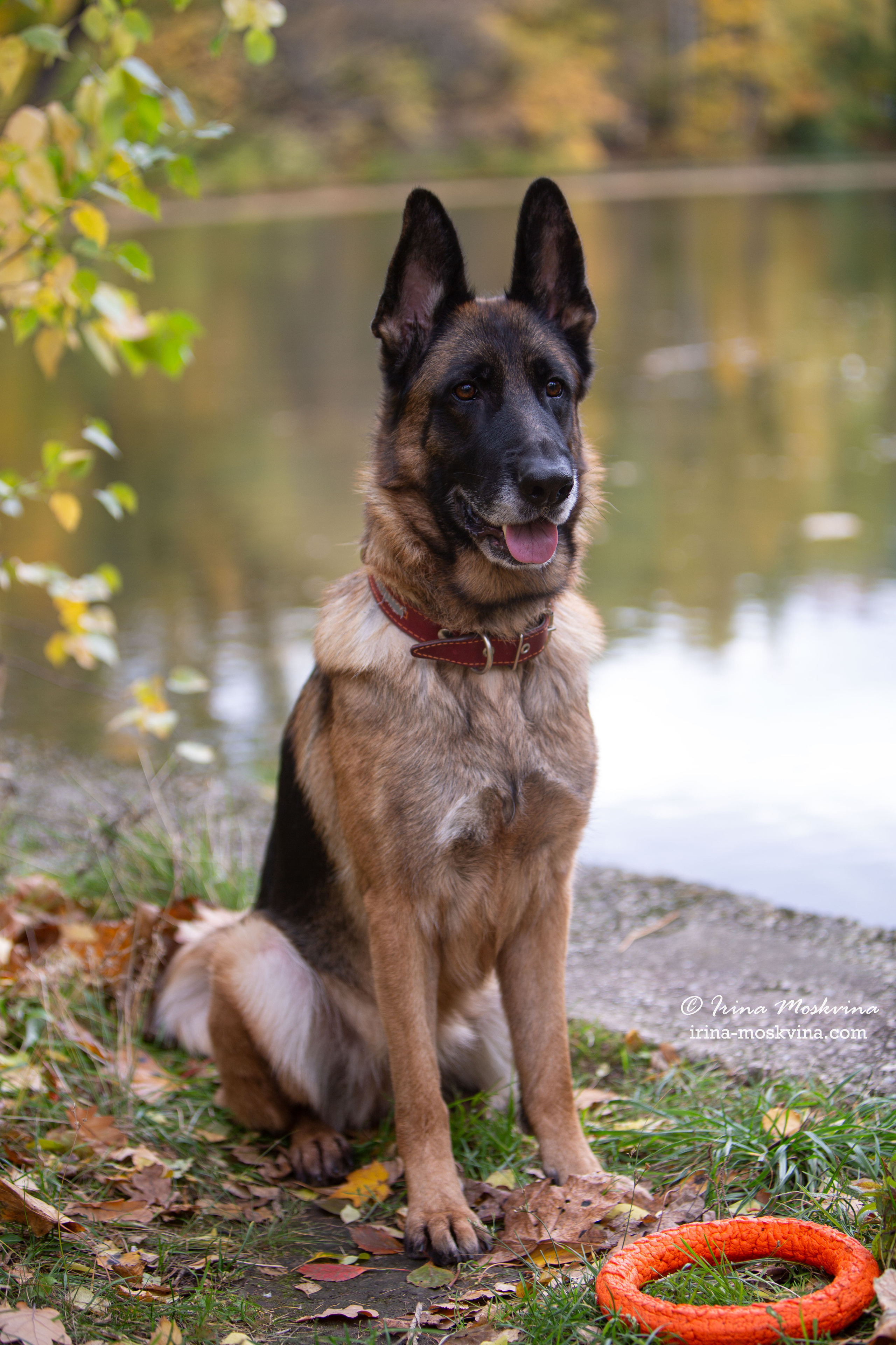 Valdzage Ritsa. Ирина Москвина | фотограф | Москва