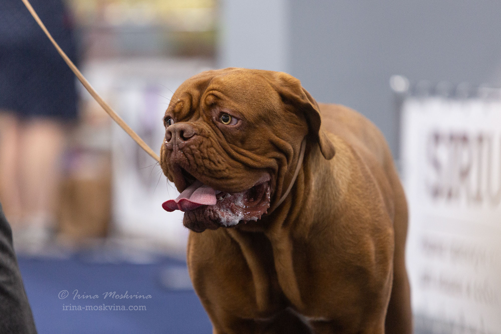 Москва, ВЦ «Сфера» | САС | 01.07.23. Ирина Москвина | фотограф | Москва