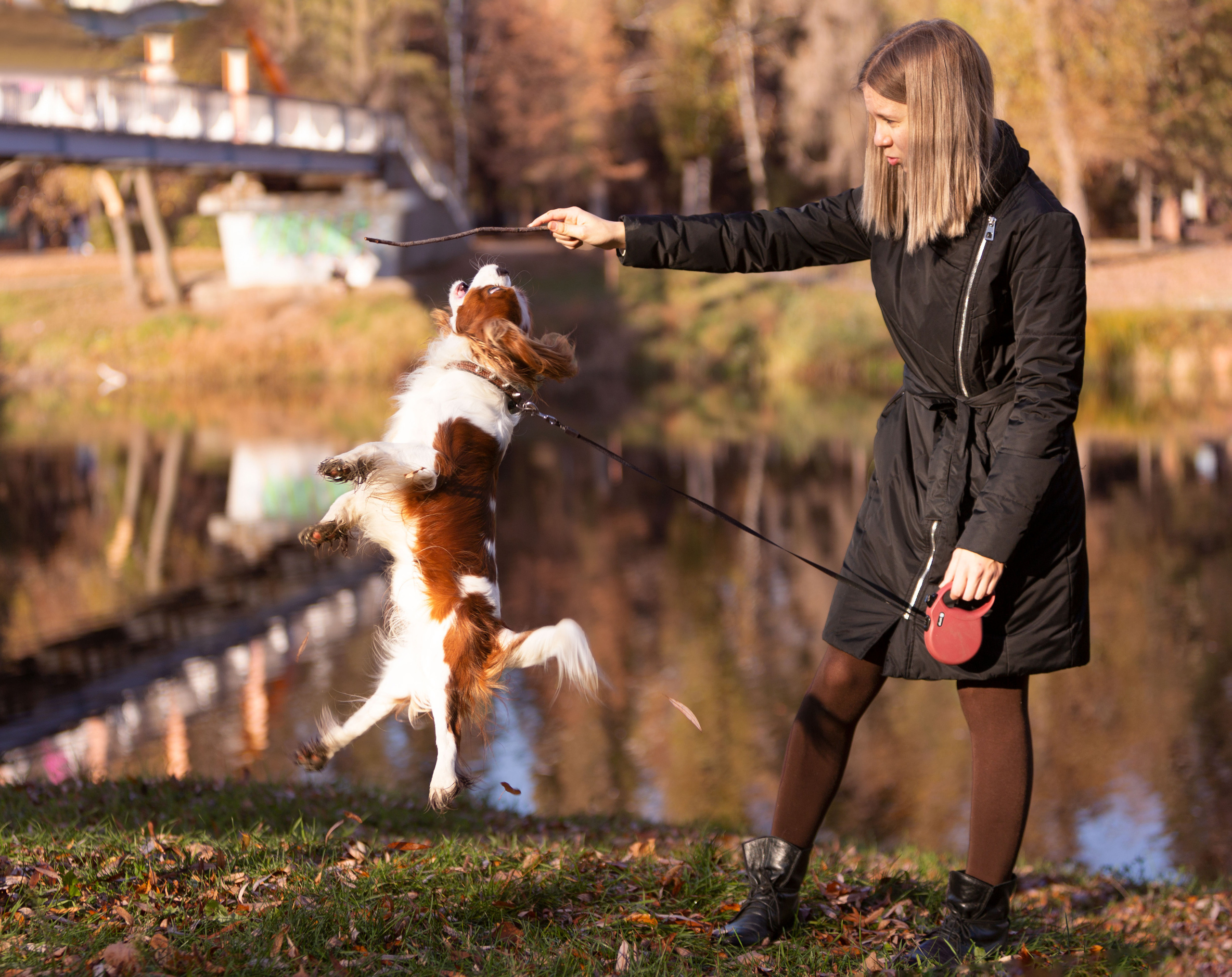 Прогулка с кавалером Да Винчи | Белгород | октябрь 2021. Ирина Москвина | фотограф | Москва