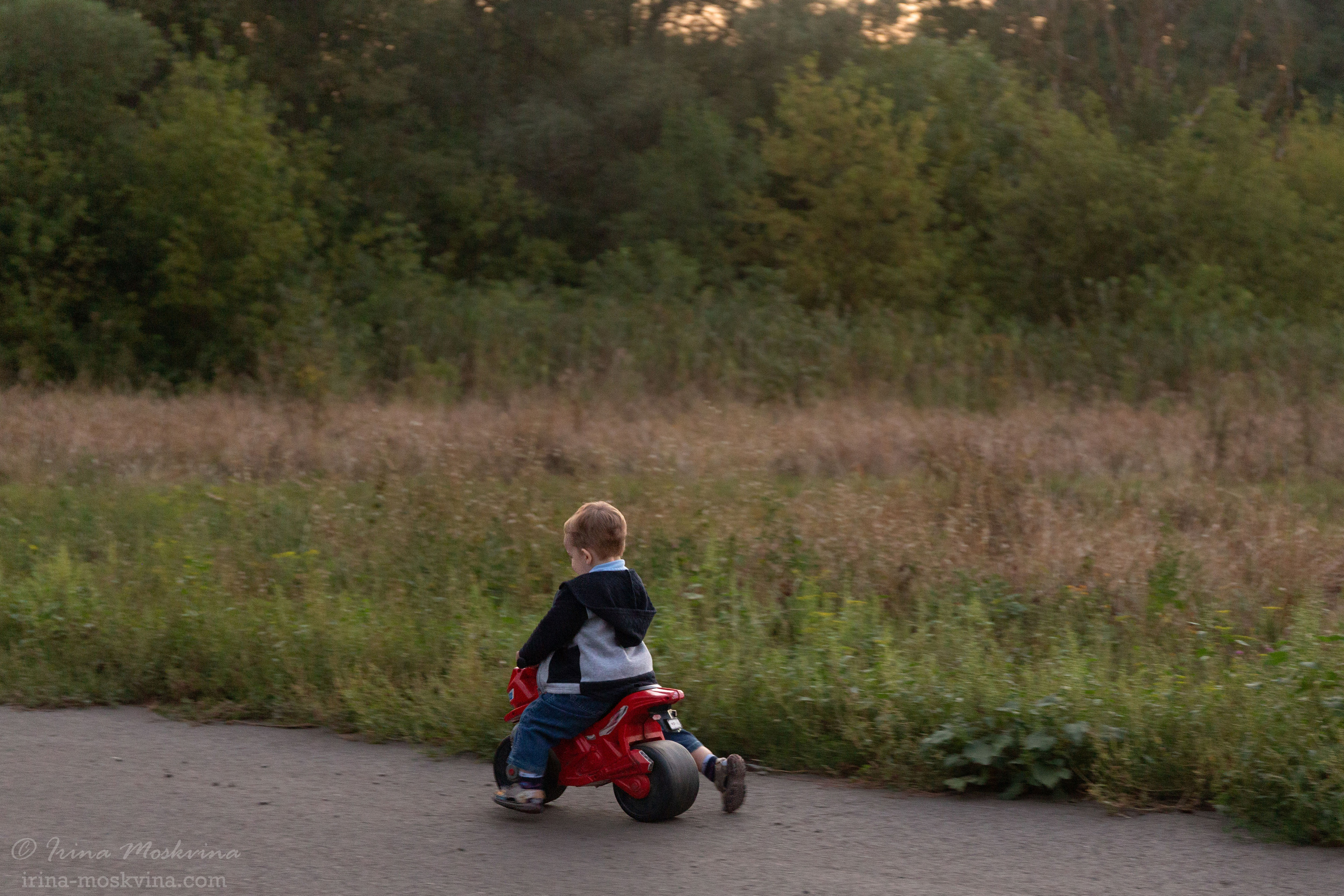 Егорка | август 2021. Ирина Москвина | фотограф | Москва