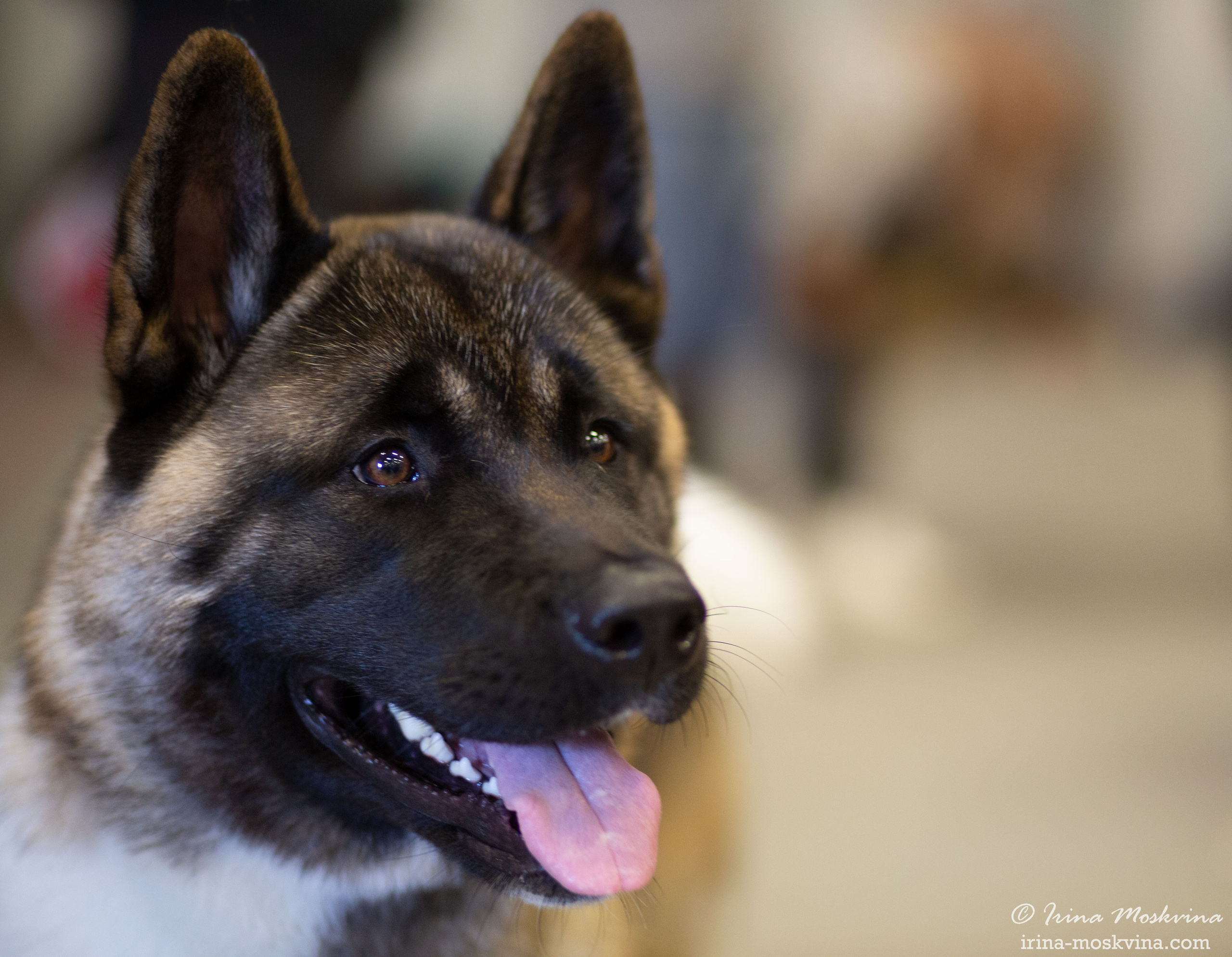 Старый Оскол | САС | 05.09.21. Ирина Москвина | фотограф | Москва