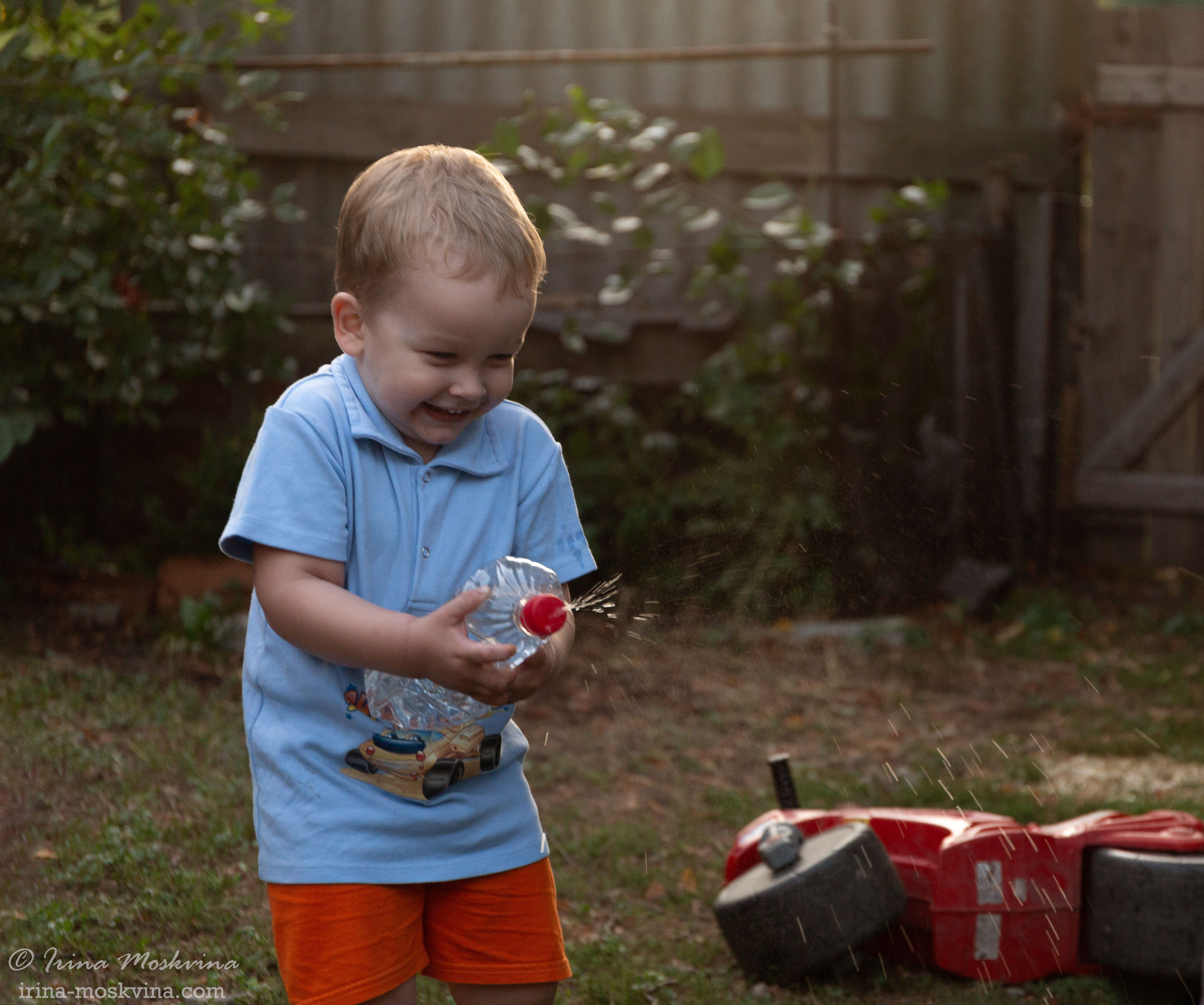 Егорка | август 2021. Ирина Москвина | фотограф | Москва
