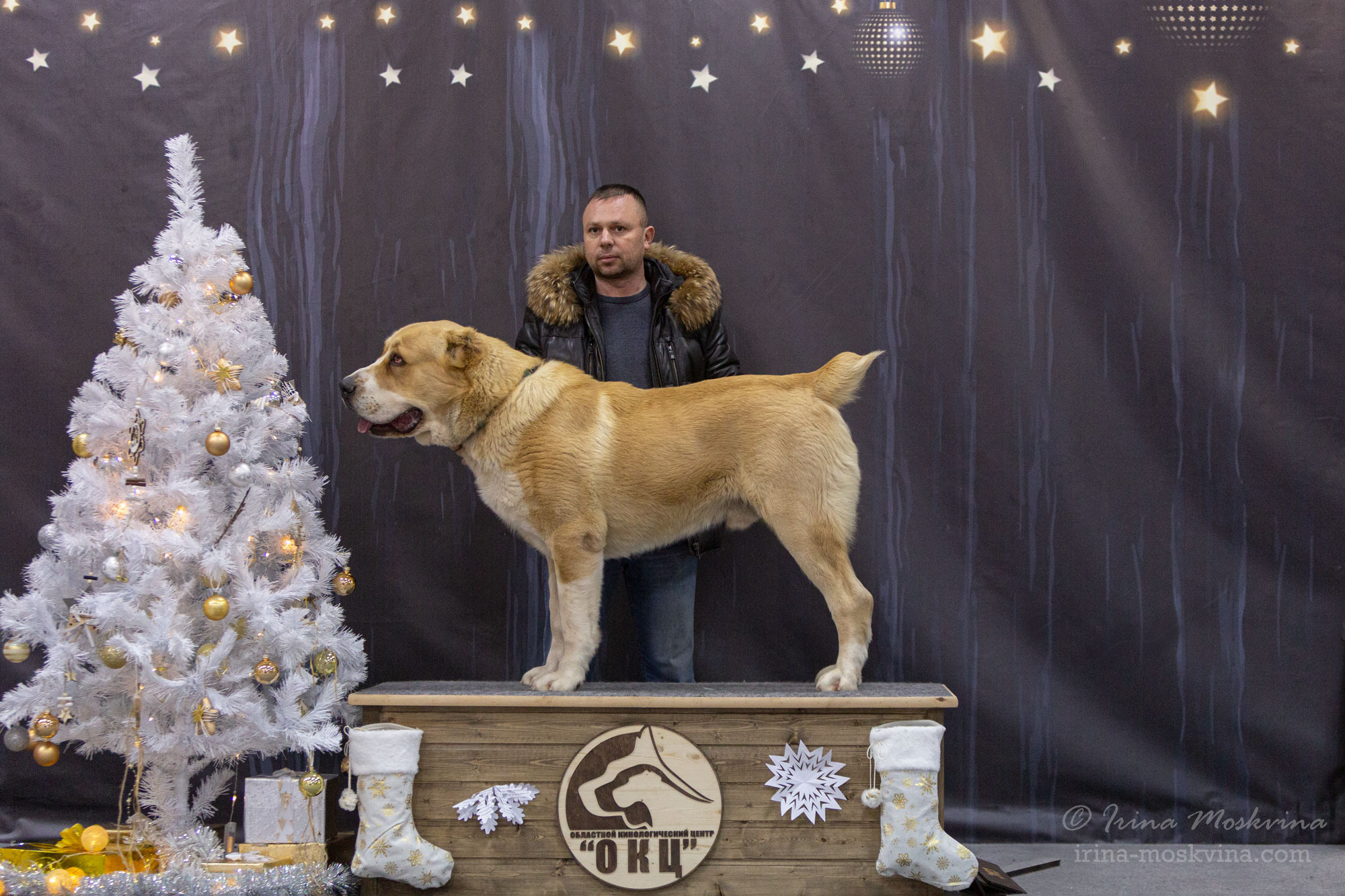 Белгород | САС | 25.12.21. Ирина Москвина | фотограф | Москва