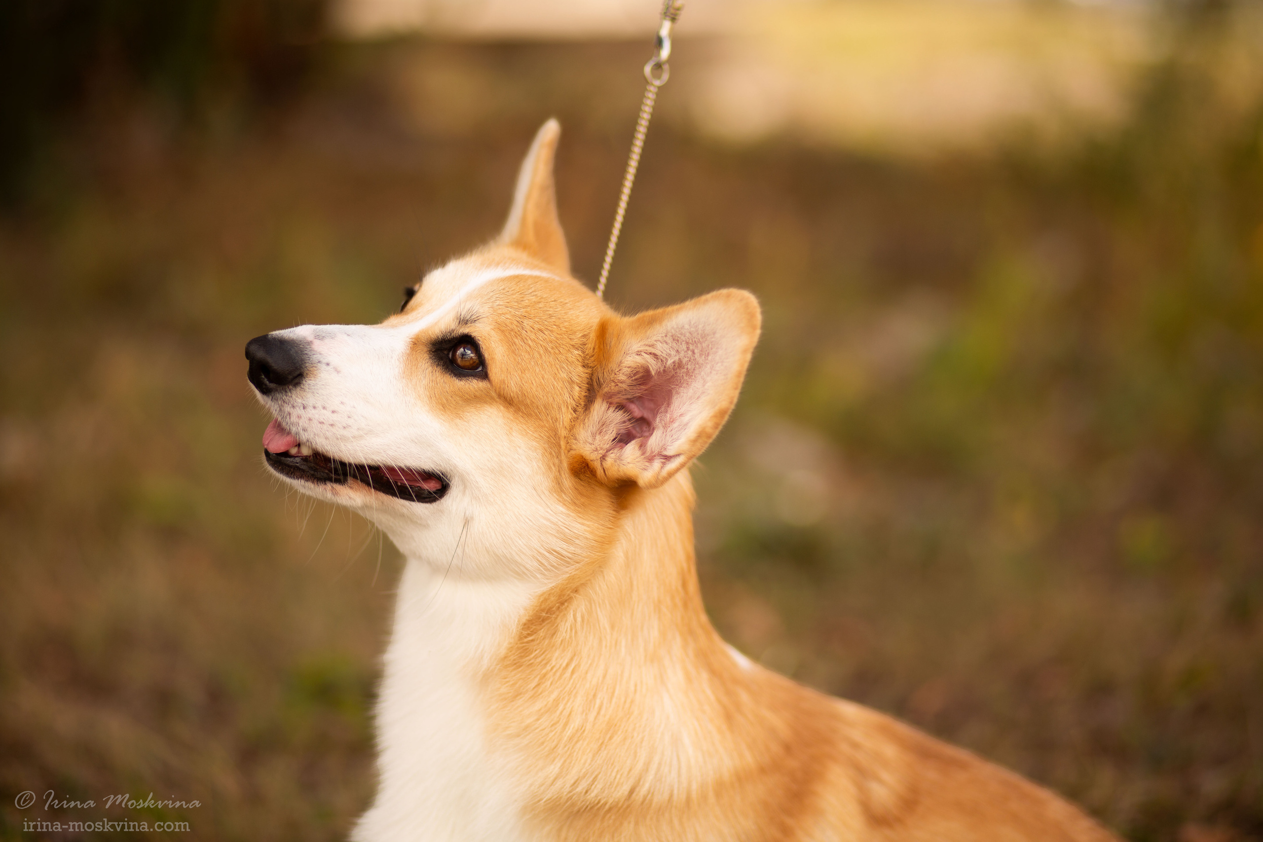 Старый Оскол | САС | 05.09.21. Ирина Москвина | фотограф | Москва