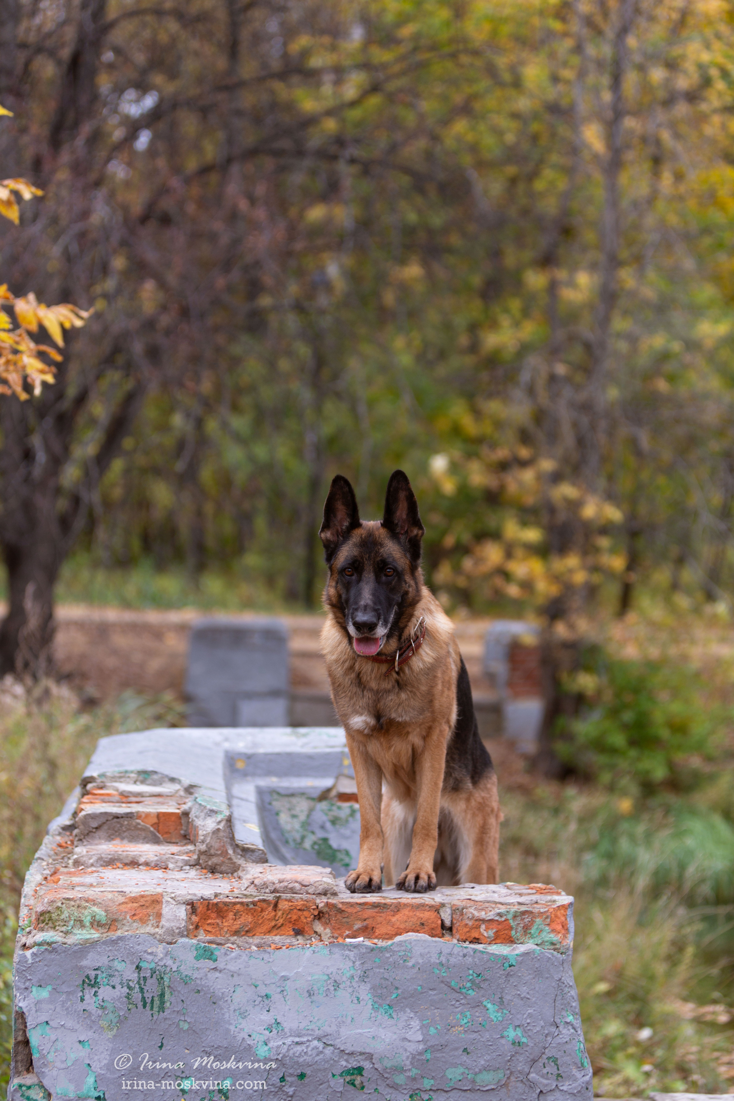 Valdzage Ritsa. Ирина Москвина | фотограф | Москва