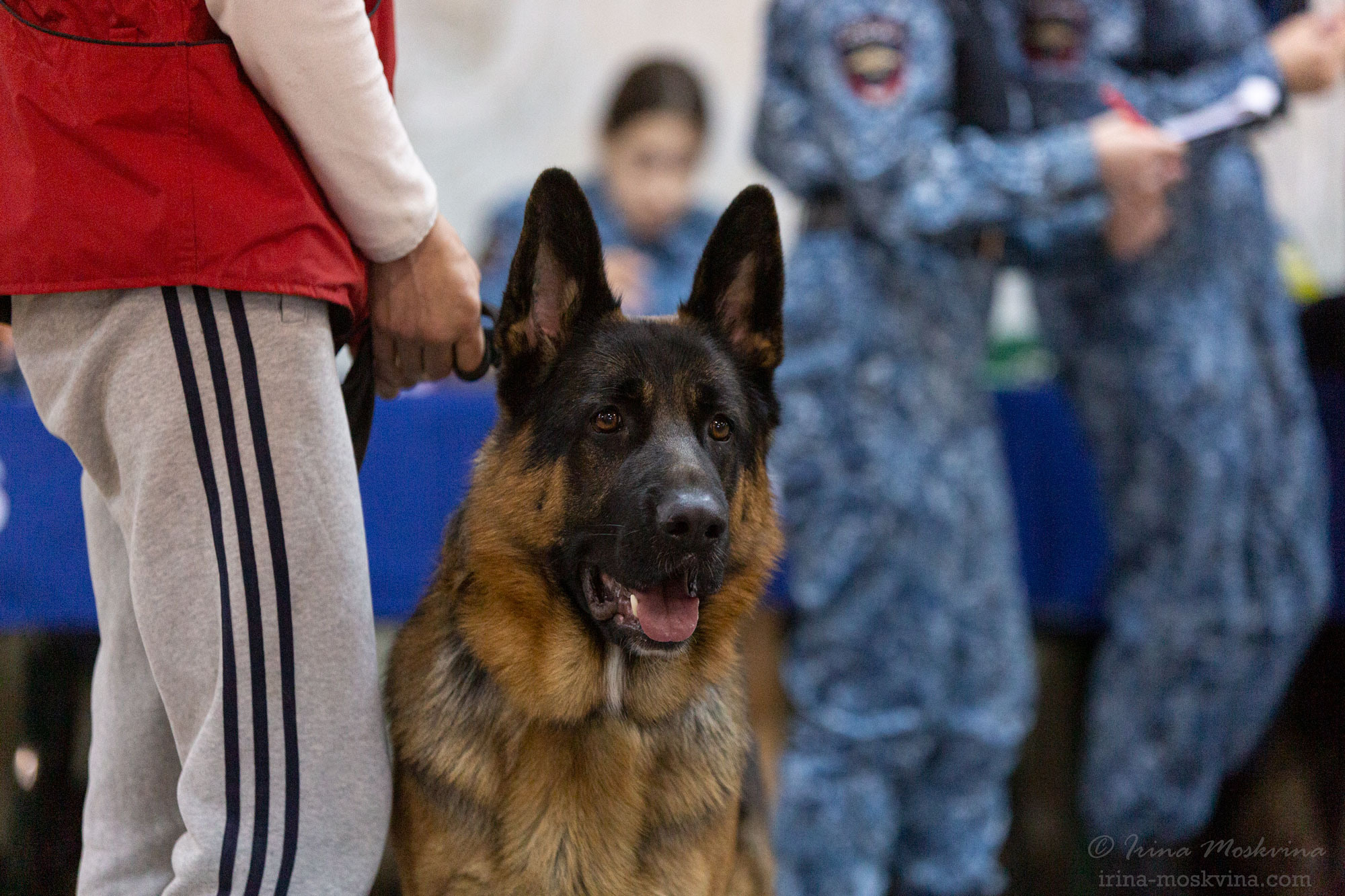 Белгород | САС | 25.12.21. Ирина Москвина | фотограф | Москва