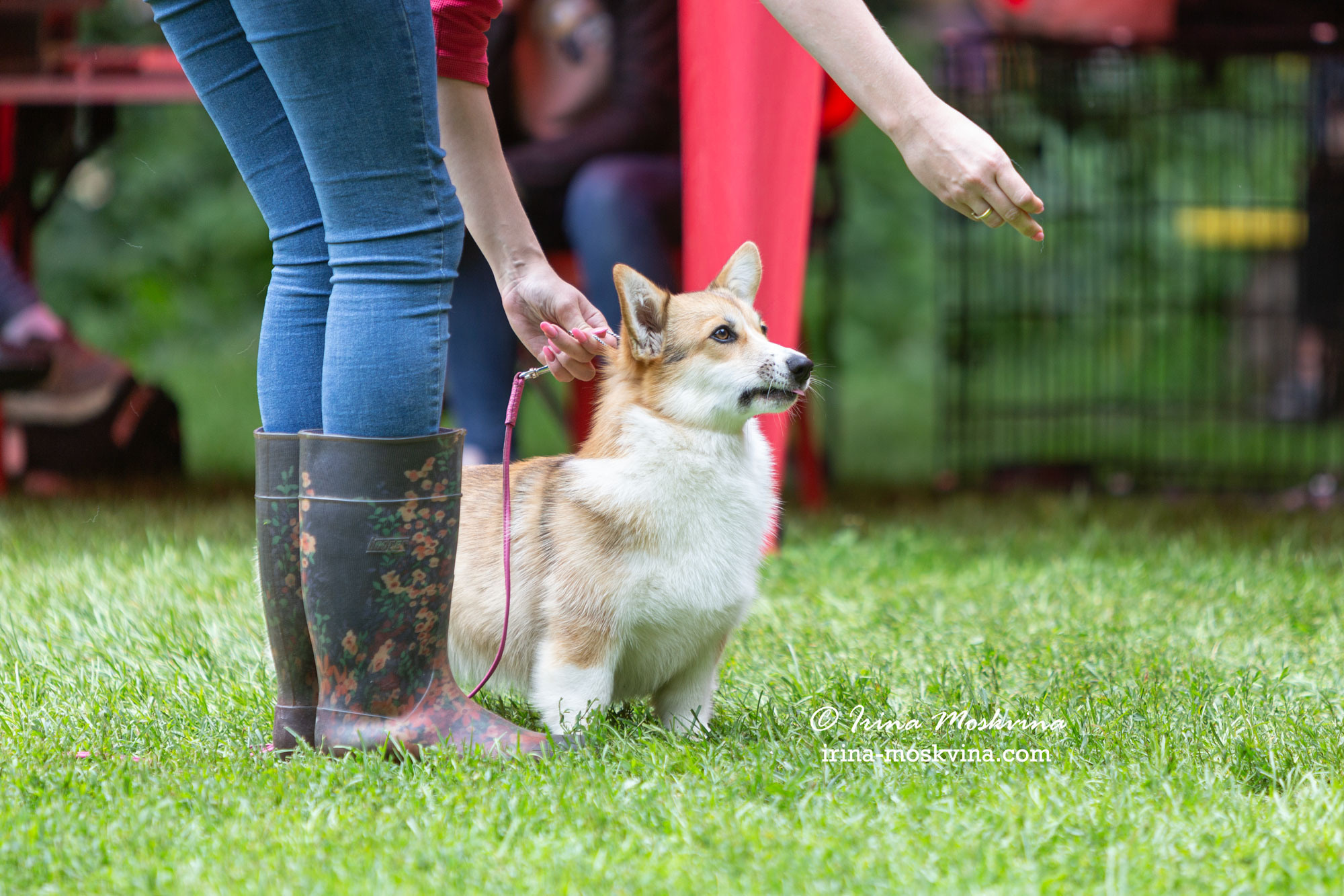 Москва, Сокольники | САС | 15.07.23. Ирина Москвина | фотограф | Москва