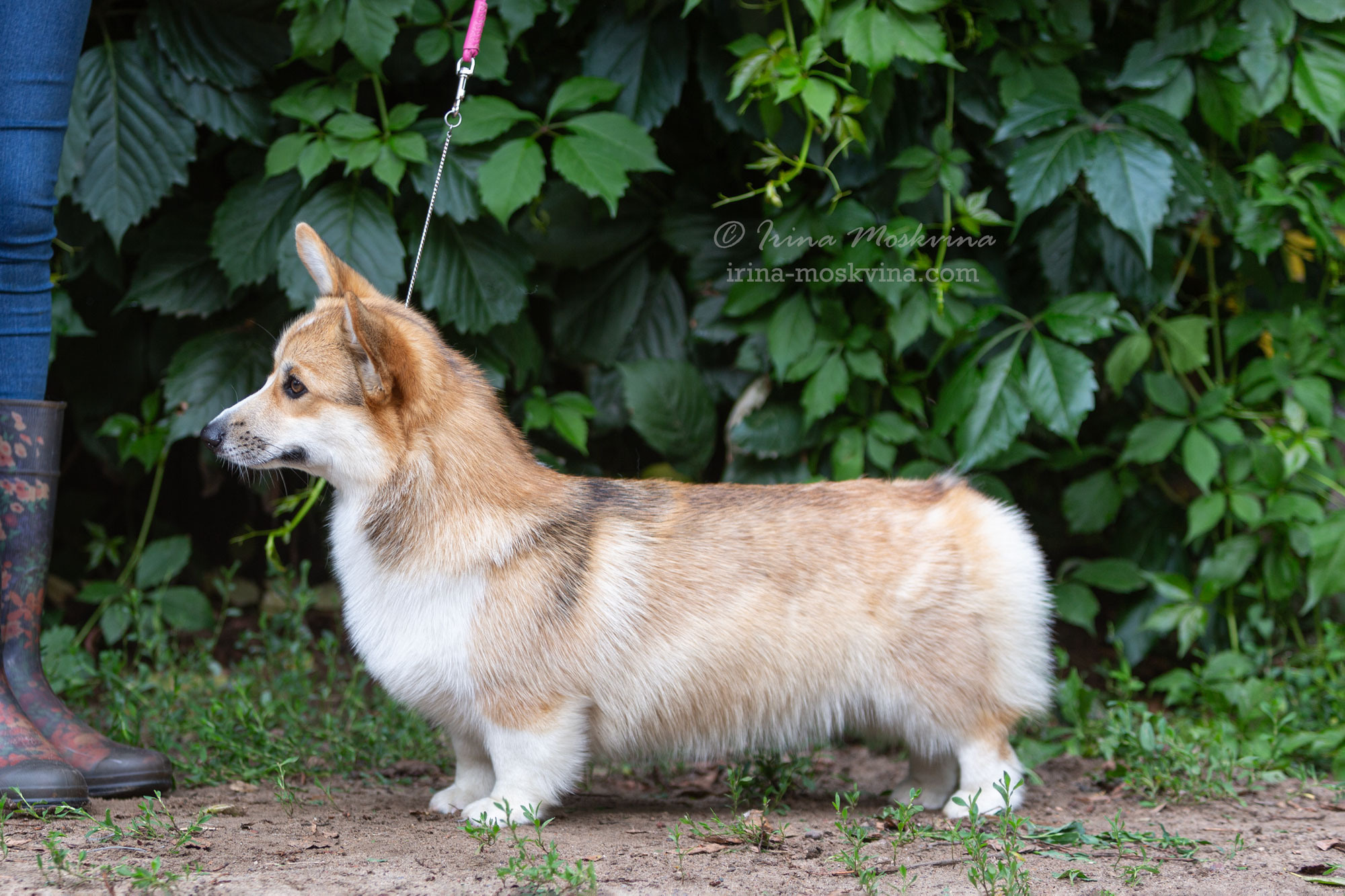 Москва, Сокольники | САС | 15.07.23. Ирина Москвина | фотограф | Москва