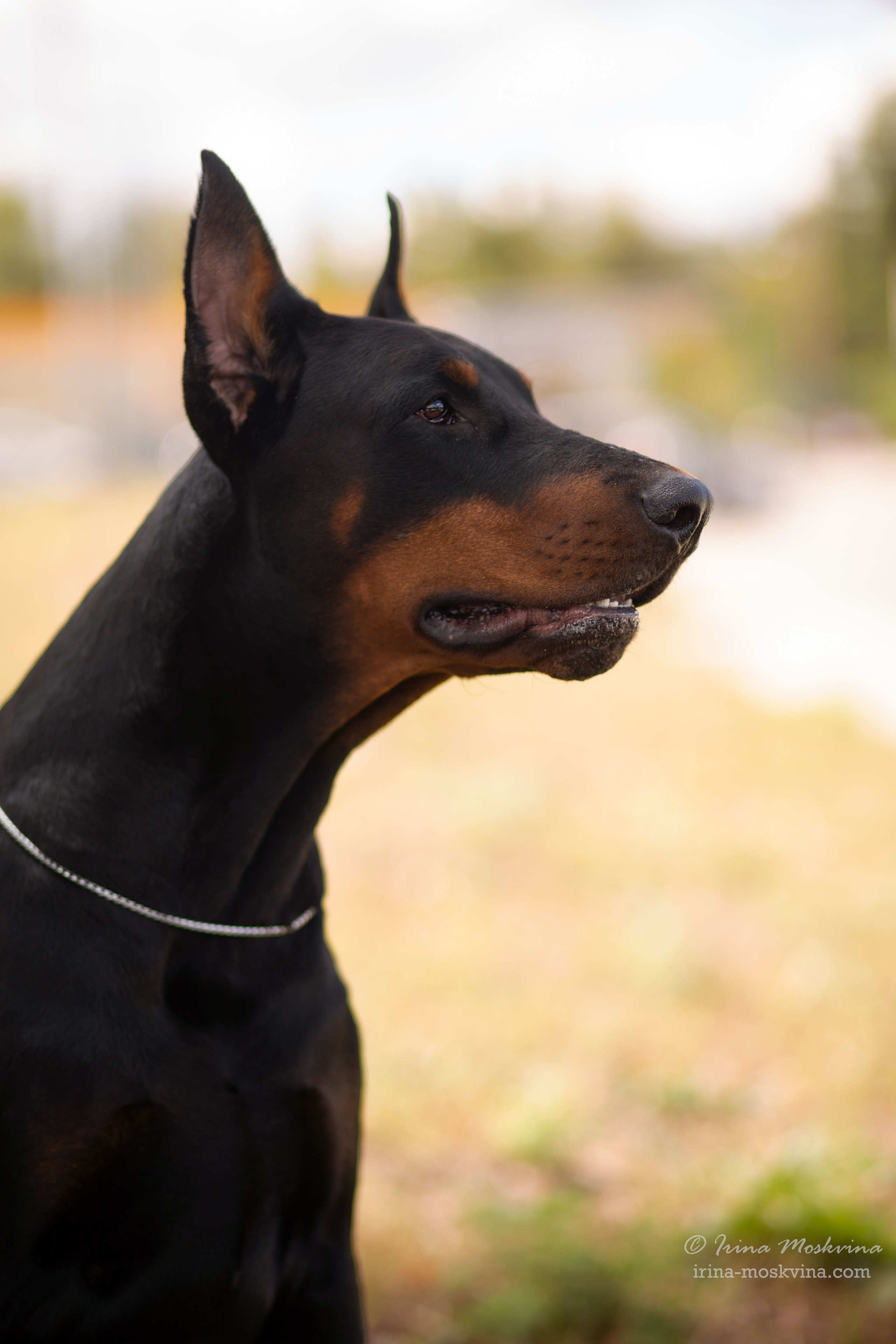 Губкин | САС | 04.09.21. Ирина Москвина | фотограф | Москва