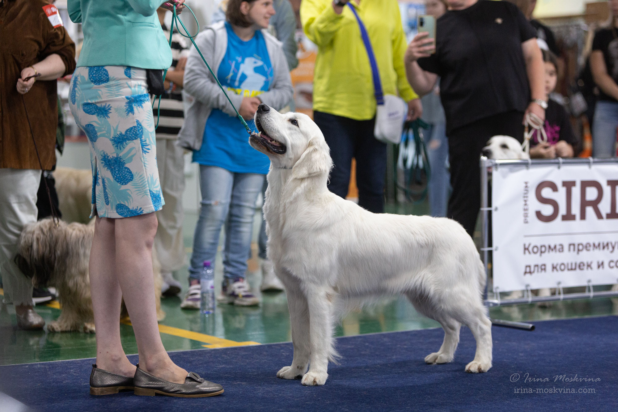 Москва, ВЦ «Сфера» | САС | 01.07.23. Ирина Москвина | фотограф | Москва