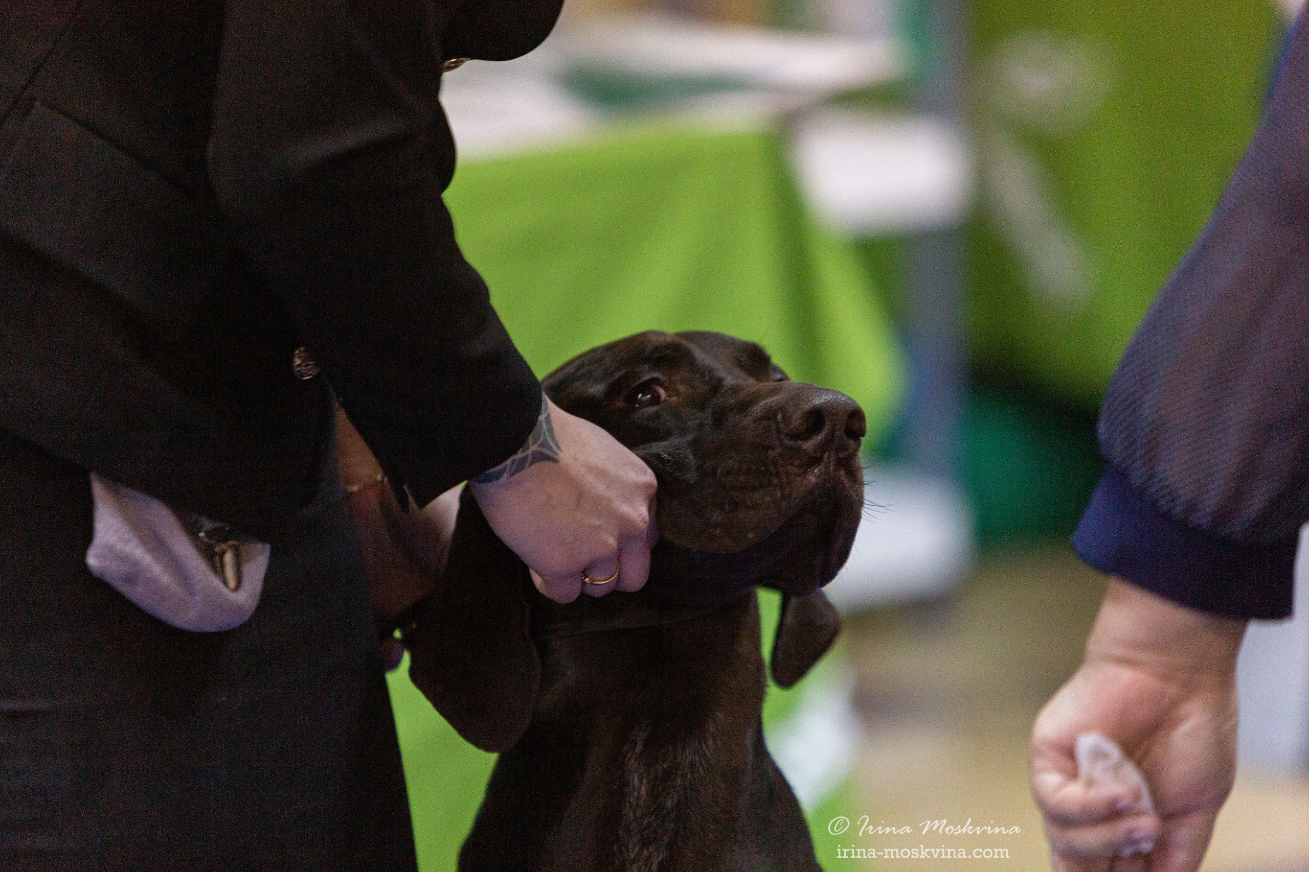 Белгород | САС | 29.01.22. Ирина Москвина | фотограф | Москва