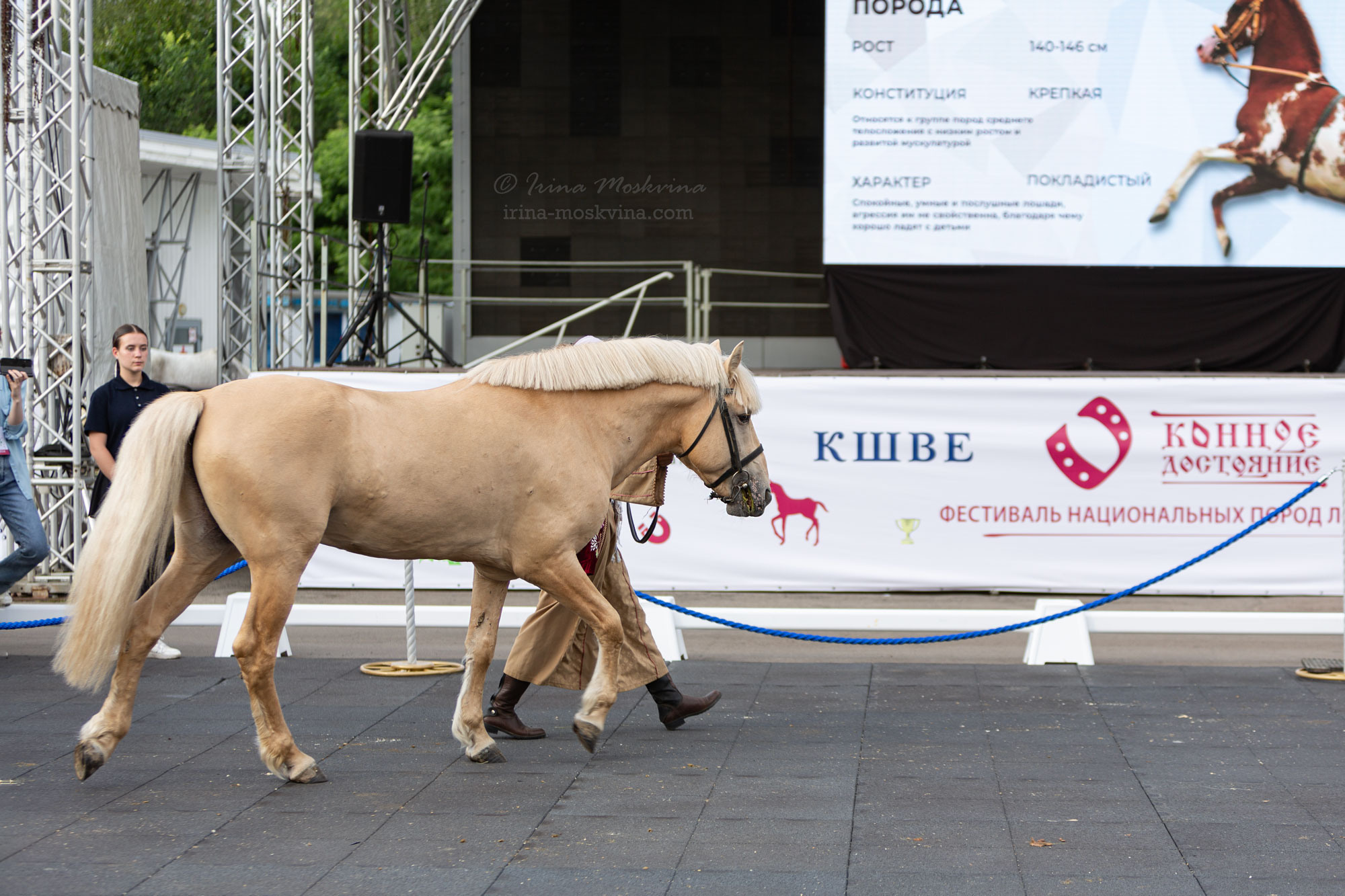 Татарская порода