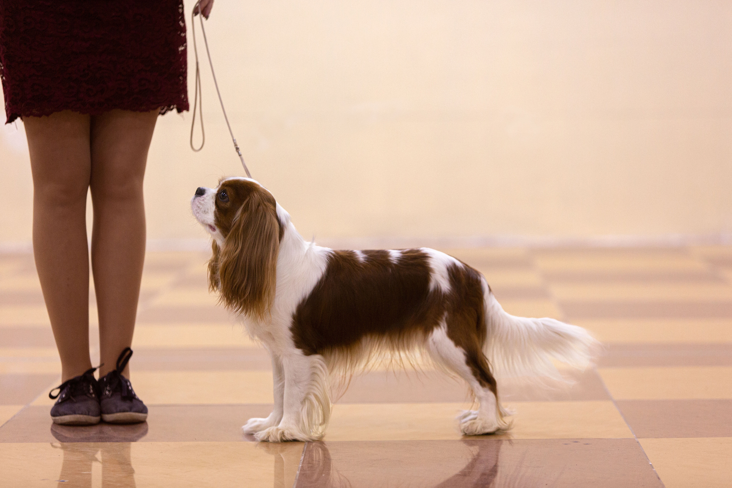 Белгород | САС | 14.11.21. Ирина Москвина | фотограф | Москва