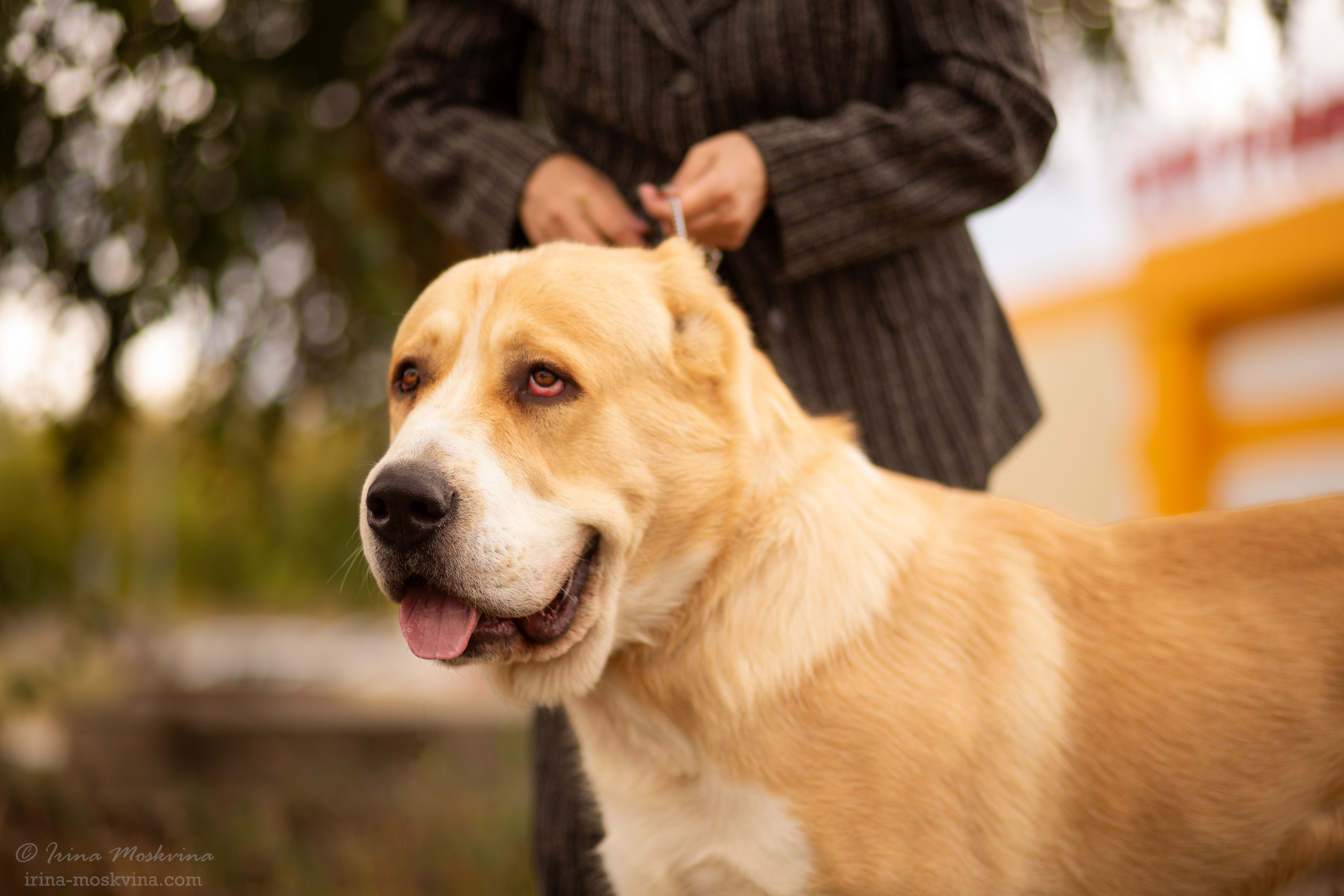 Старый Оскол | САС | 05.09.21. Ирина Москвина | фотограф | Москва