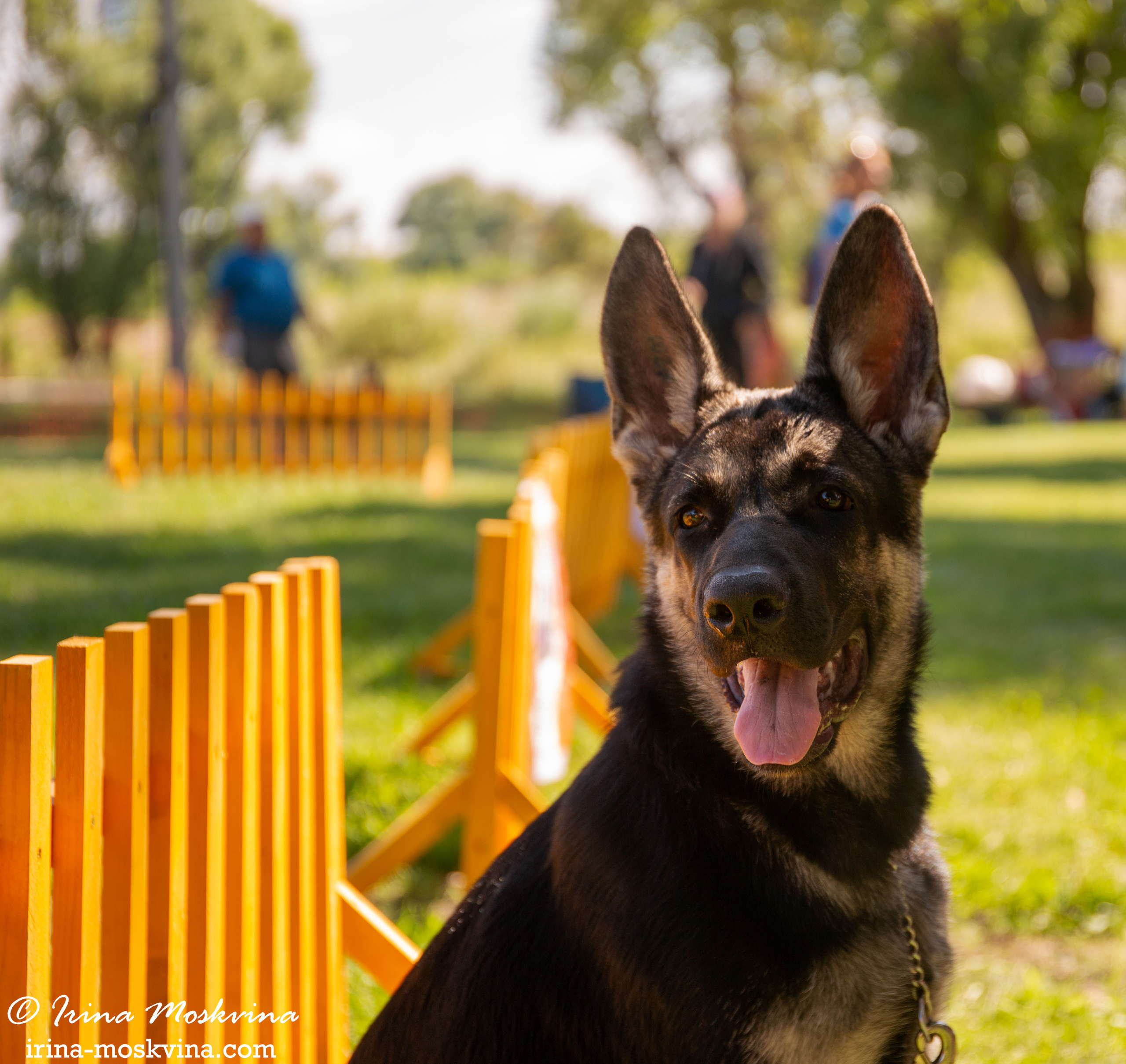 Липецк | САС | 31.07.21. Ирина Москвина | фотограф | Москва