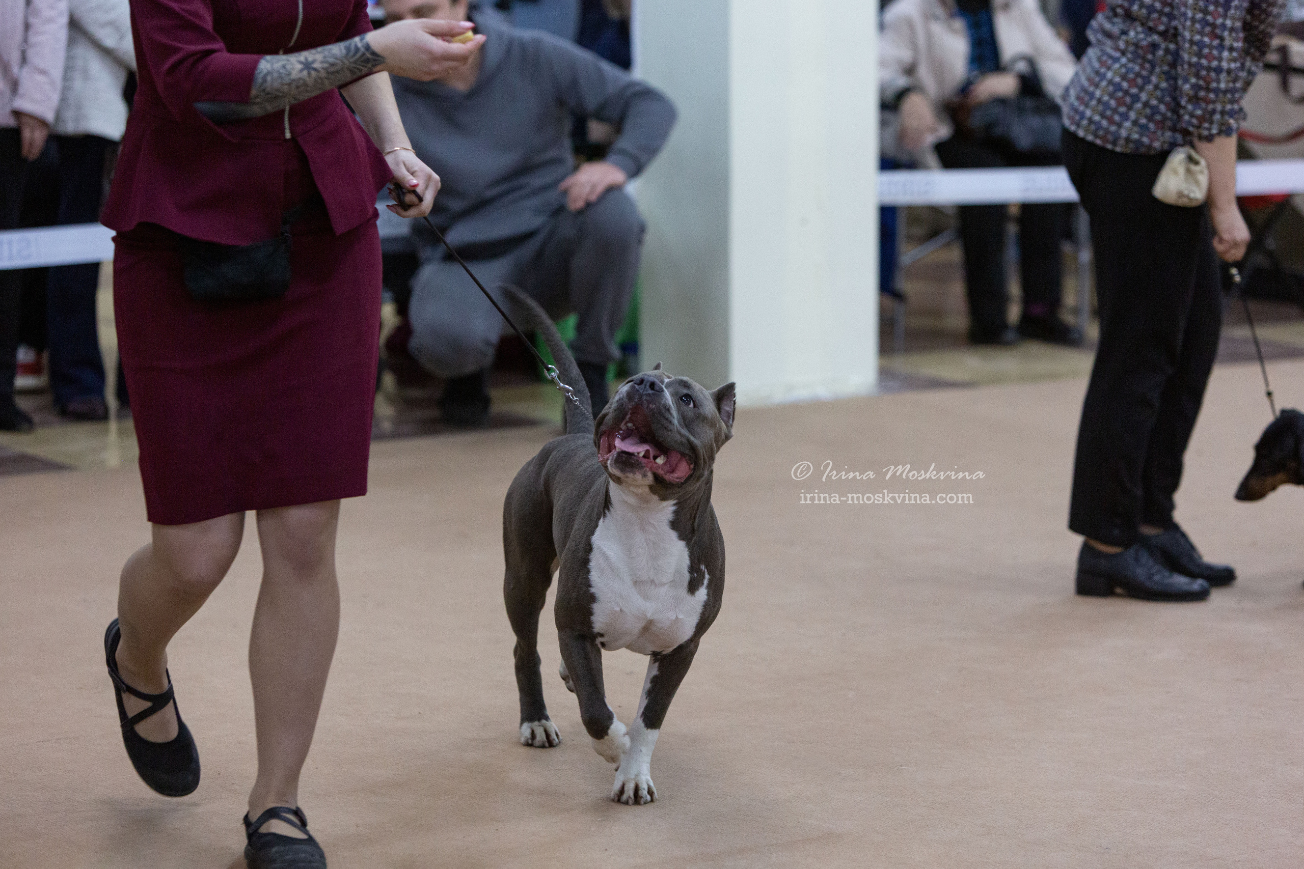 Белгород | САС | 02.04.22. Ирина Москвина | фотограф | Москва