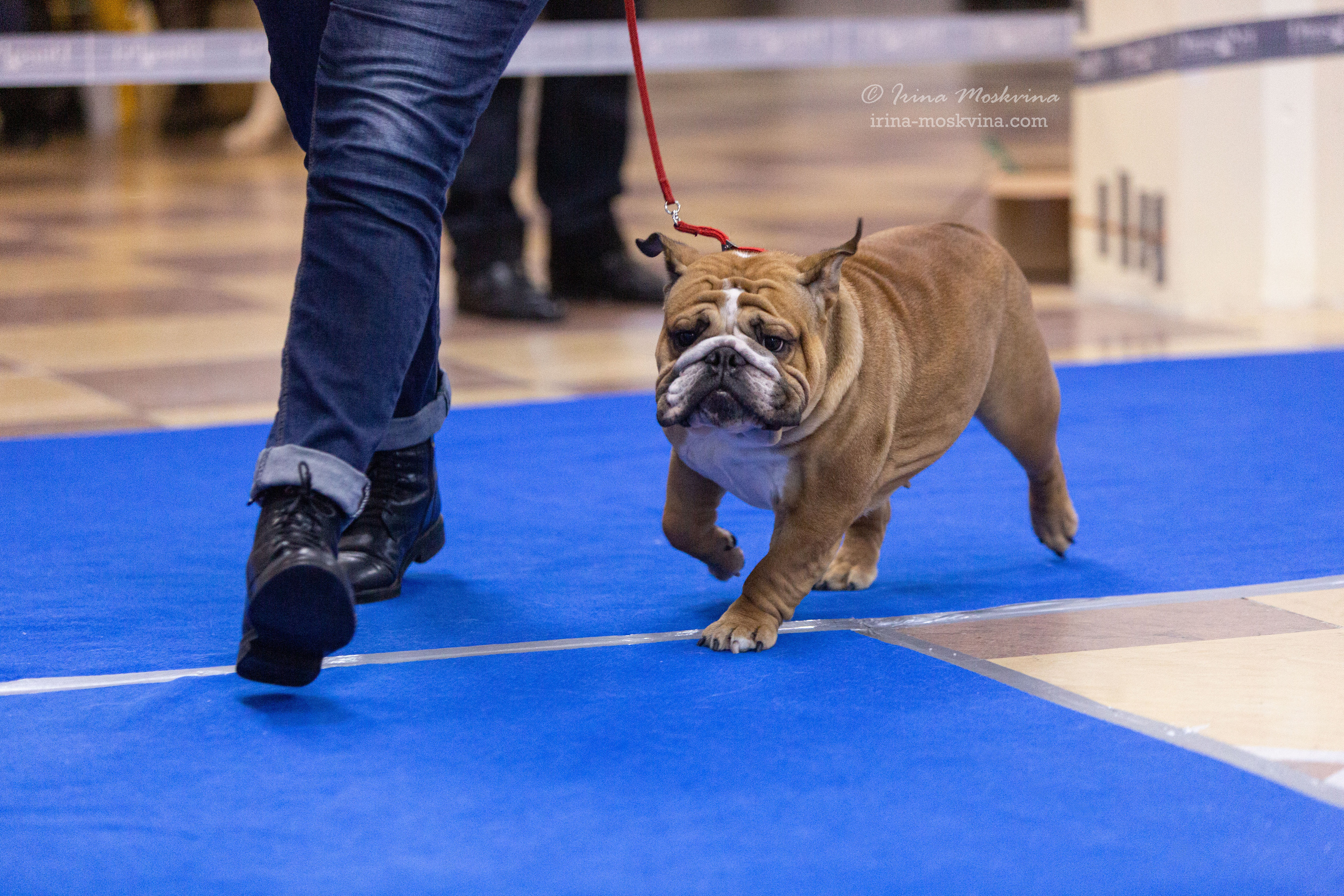 Белгород | САС | 29.01.22. Ирина Москвина | фотограф | Москва