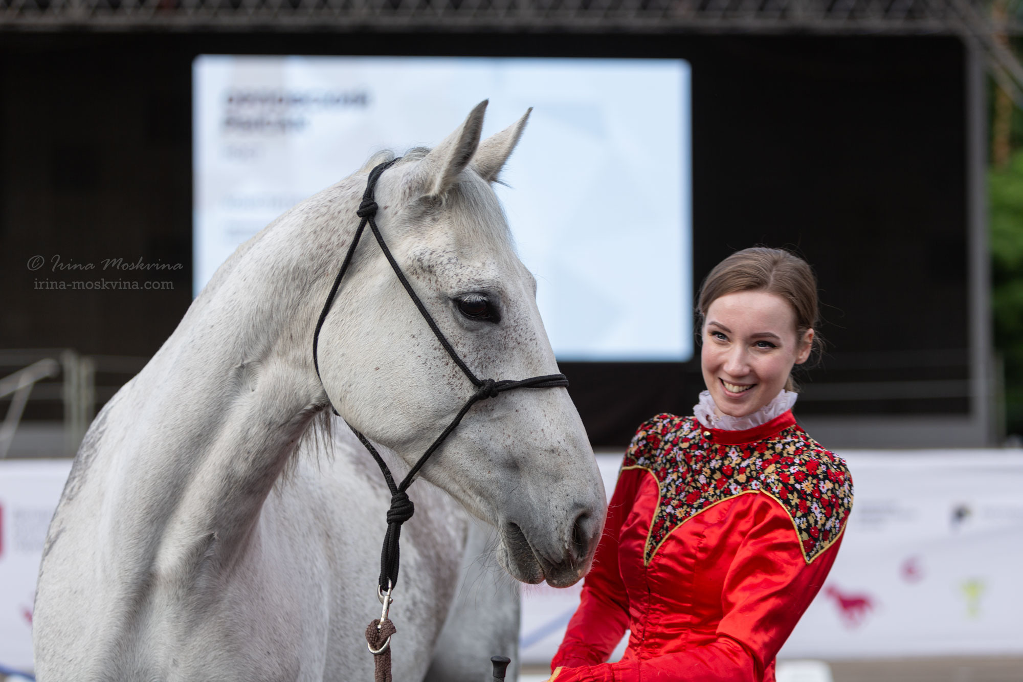 Орловский рысак