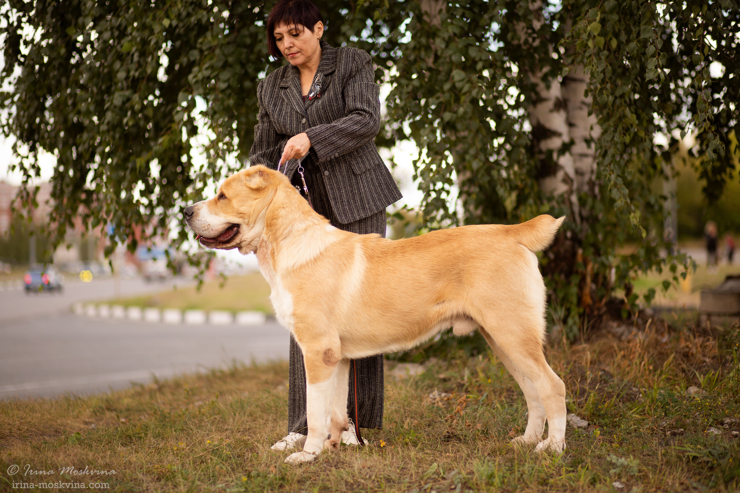 Старый Оскол | САС | 05.09.21. Ирина Москвина | фотограф | Москва