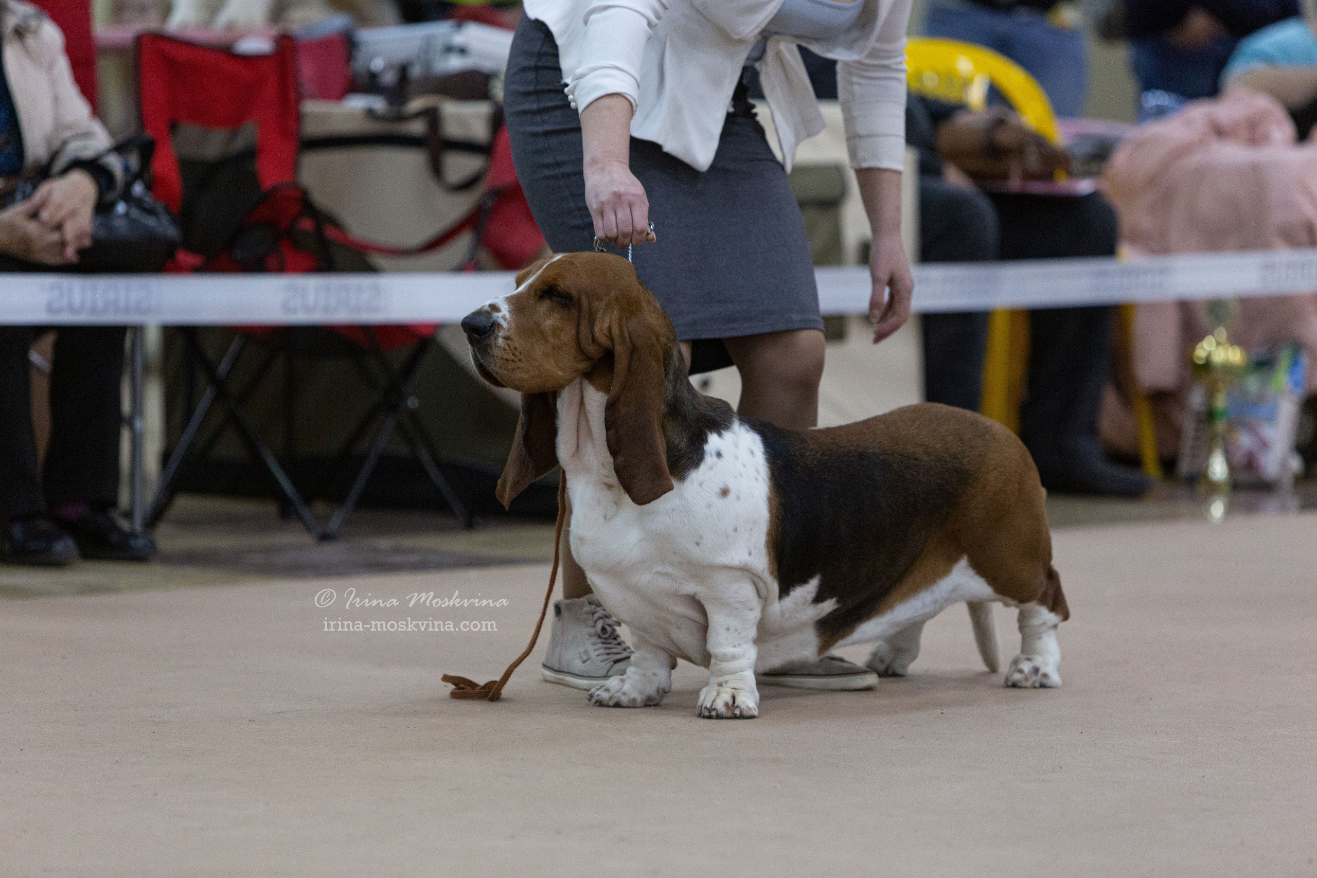Белгород | САС | 02.04.22. Ирина Москвина | фотограф | Москва