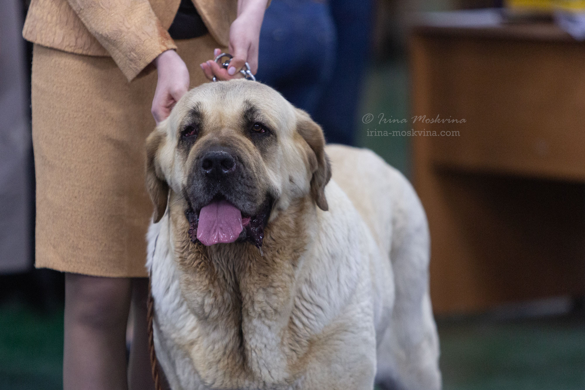 Москва, ВЦ «Сфера» | САС | 02.07.23. Ирина Москвина | фотограф | Москва
