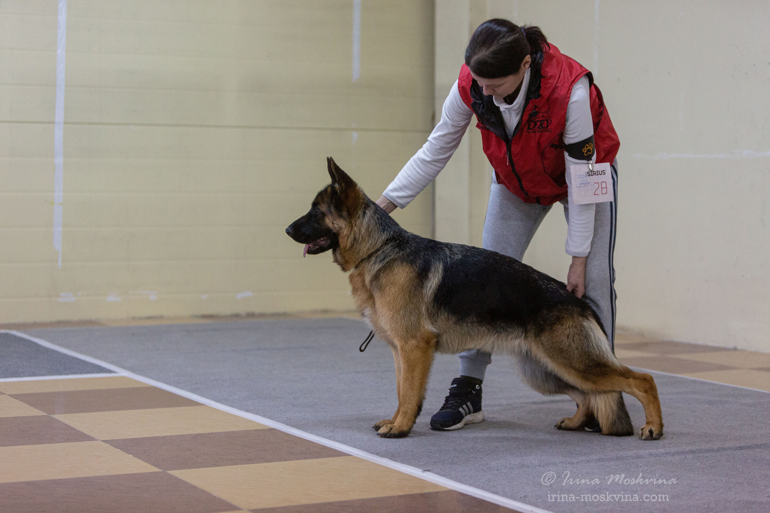 Белгород | САС | 25.12.21. Ирина Москвина | фотограф | Москва