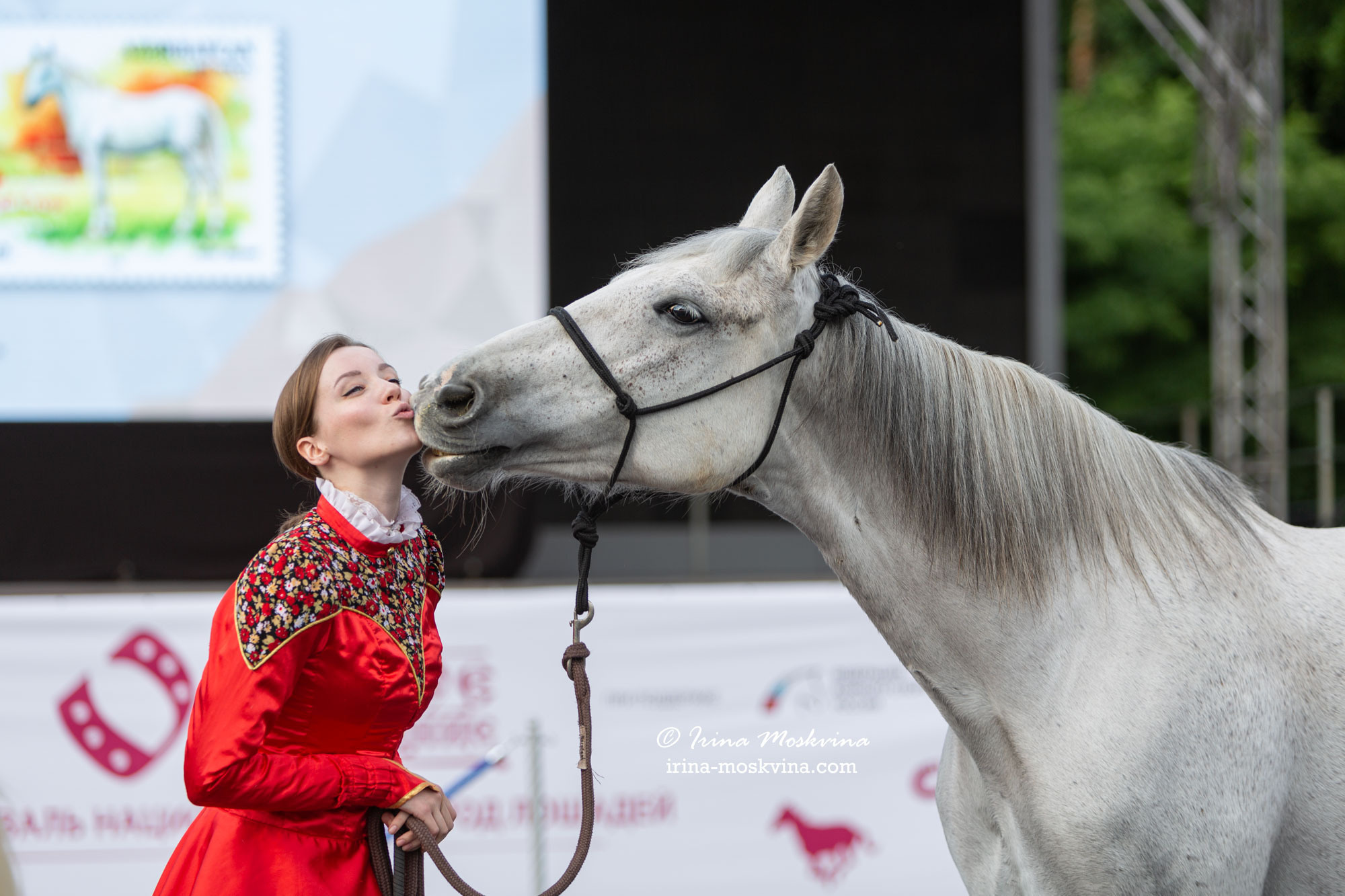 Орловский рысак