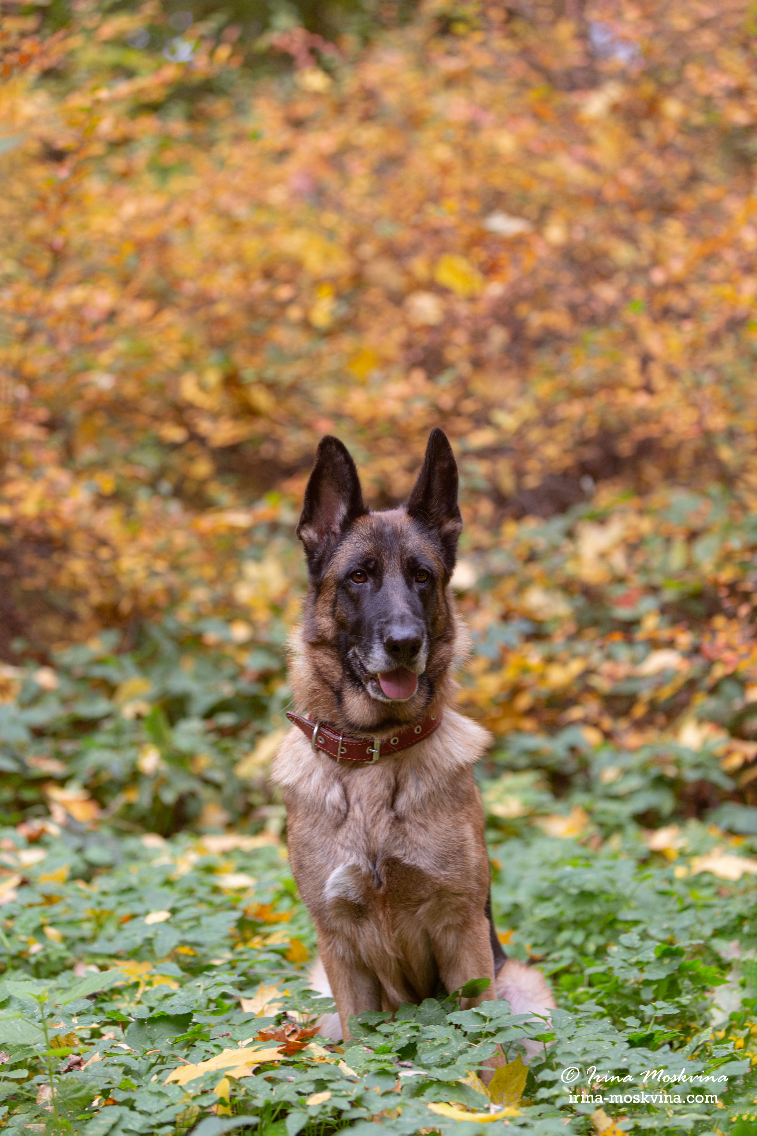 Valdzage Ritsa. Ирина Москвина | фотограф | Москва