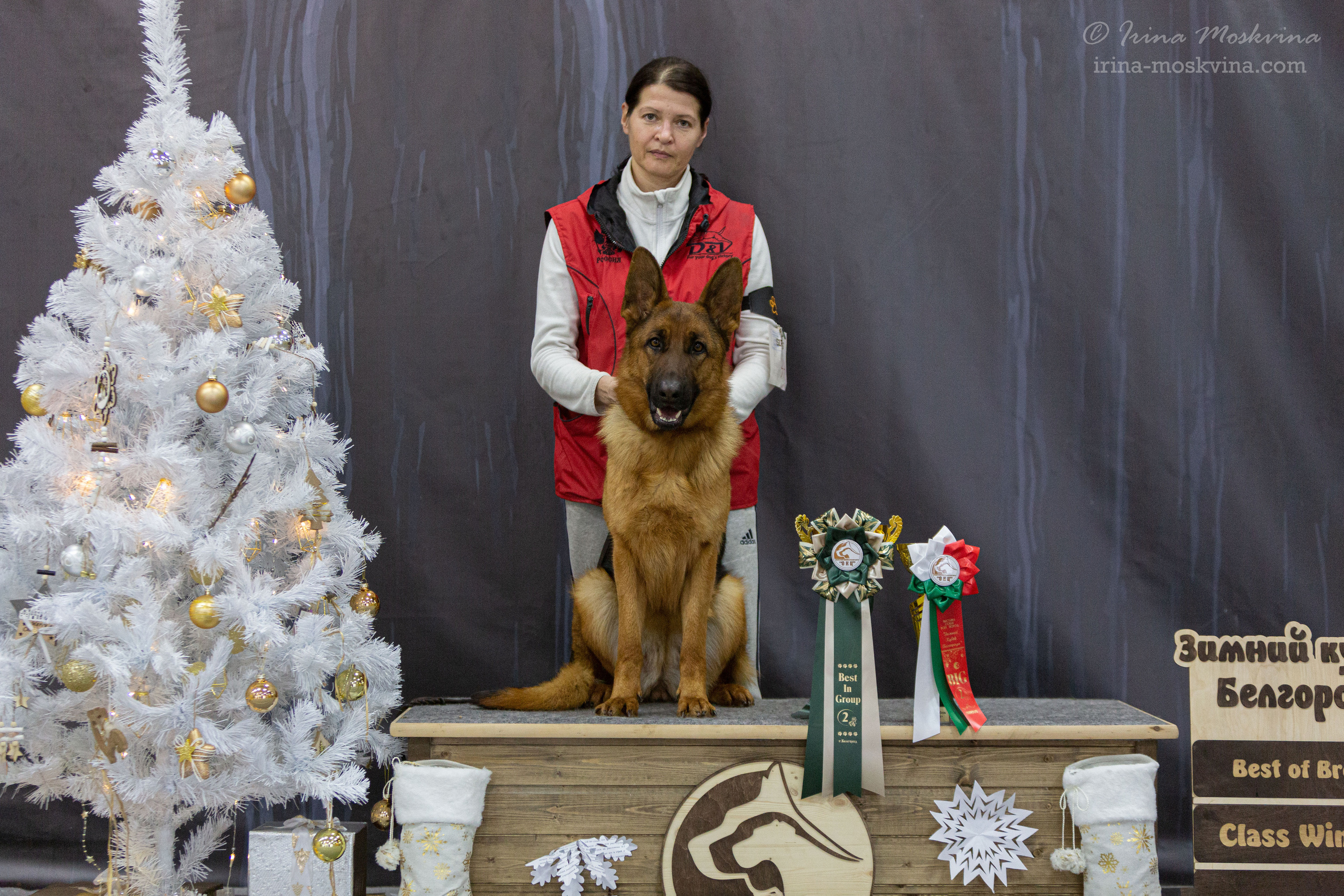 Белгород | САС | 25.12.21. Ирина Москвина | фотограф | Москва