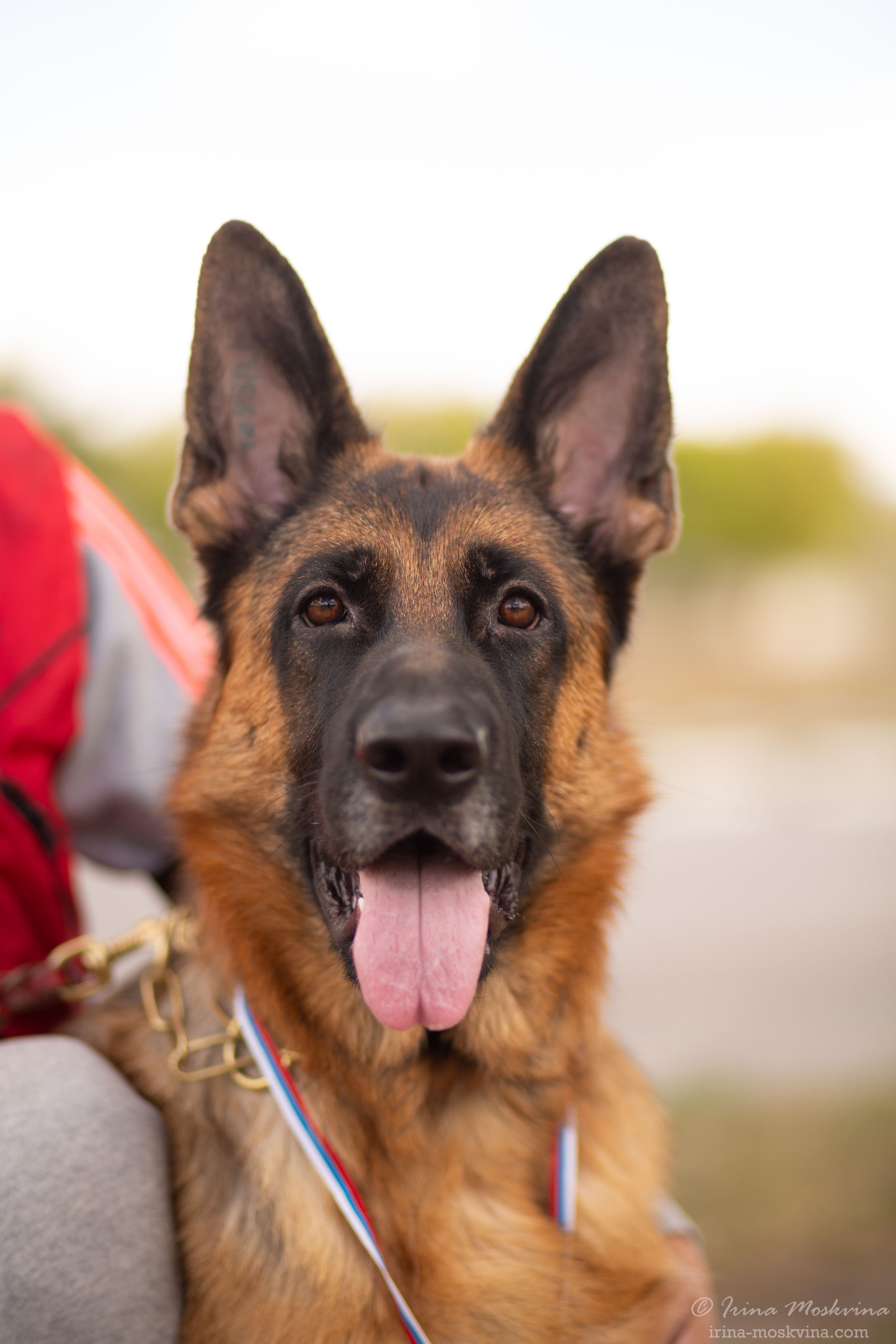 Старый Оскол | САС | 05.09.21. Ирина Москвина | фотограф | Москва
